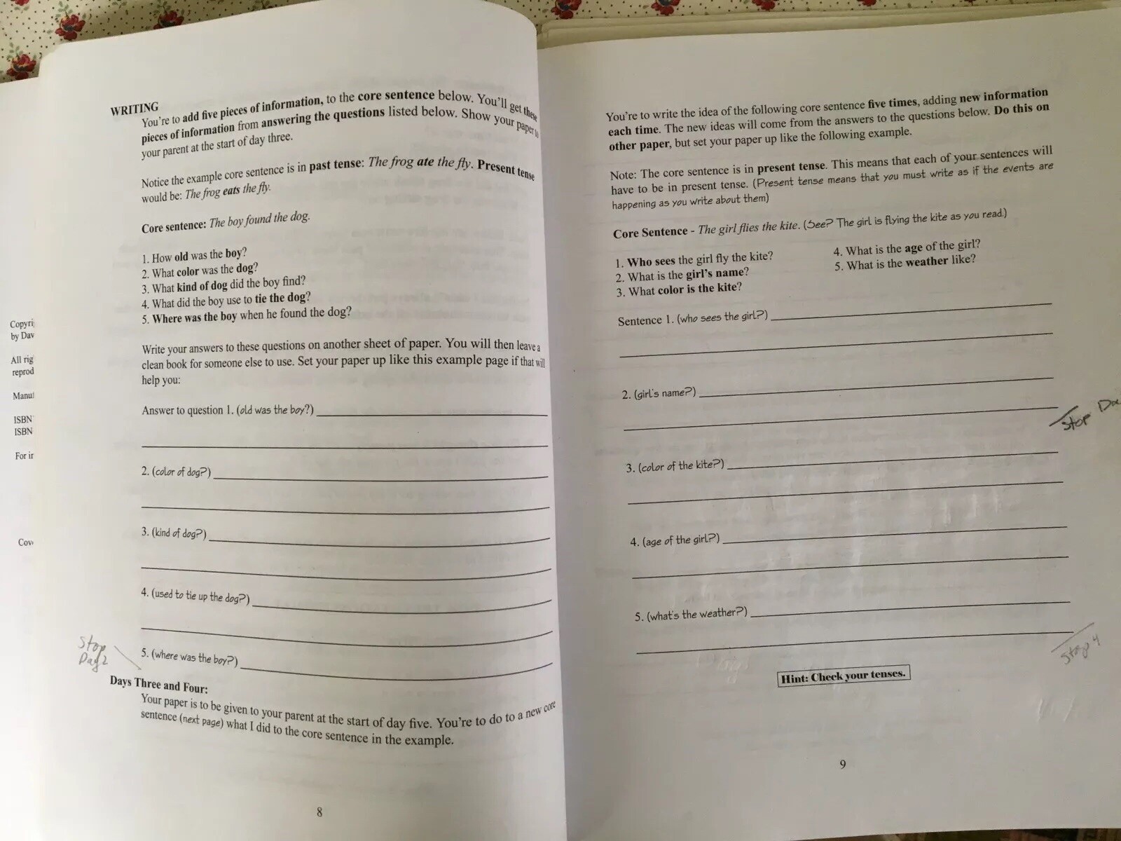 Writing Strands Level 3 by Dave Marks Lesson and Writing Assignment.