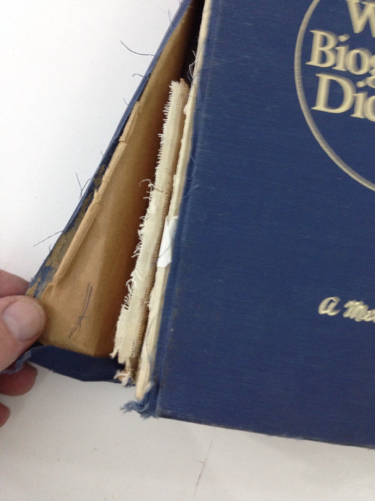 Webster’s Biographical Dictionary (1972, Hardcover)