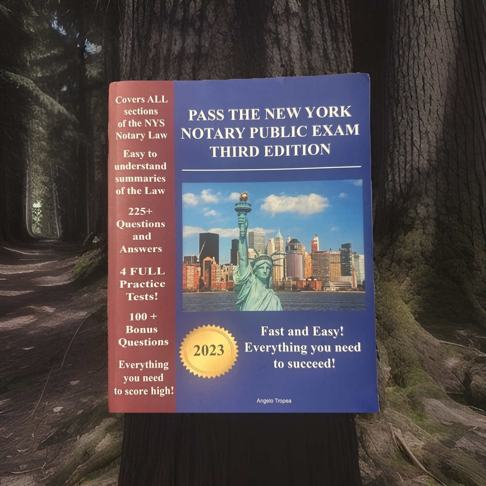 Pass the New York Notary Public Exam Third Edition: Everything you need – Exam P
