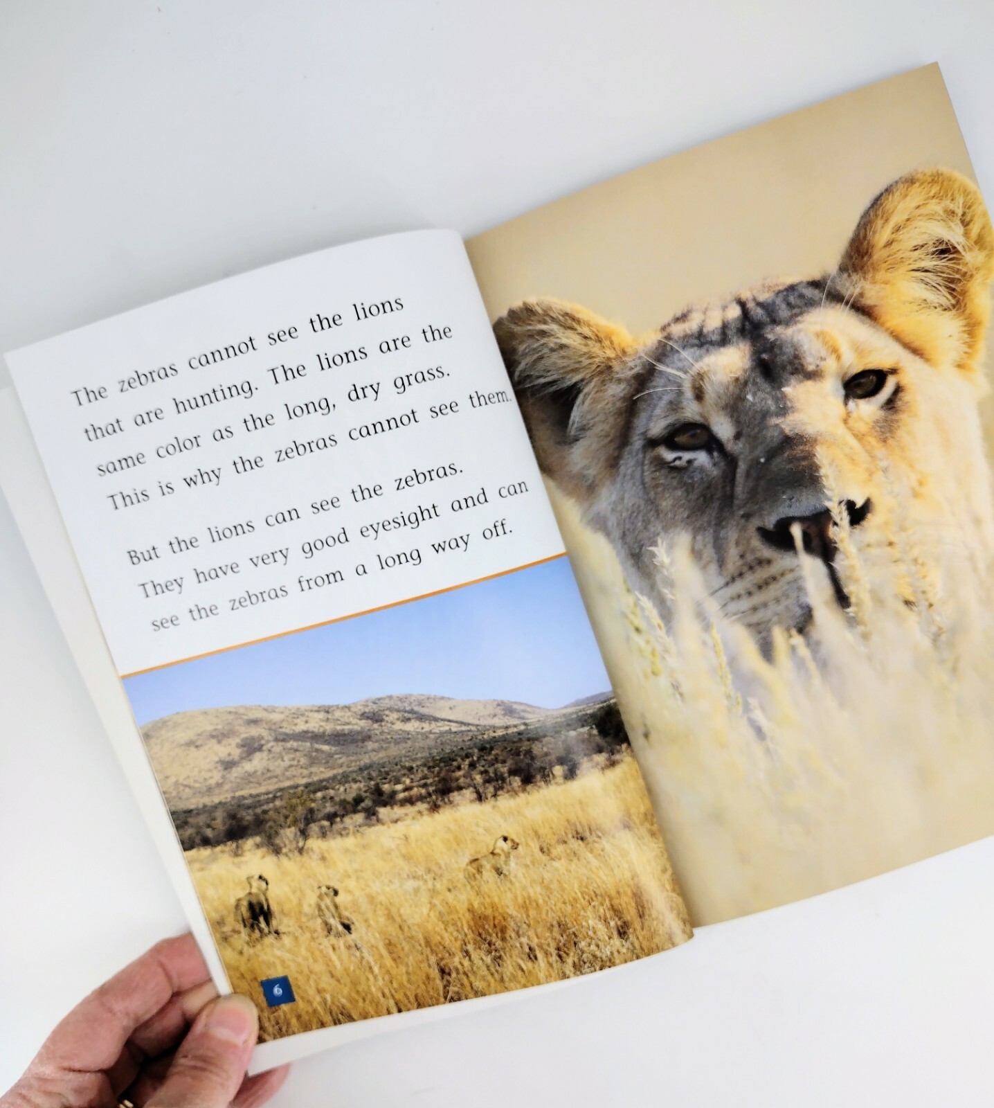 Flying Start To Literacy MultiPack When Lions Hunt/Rory’s Dance