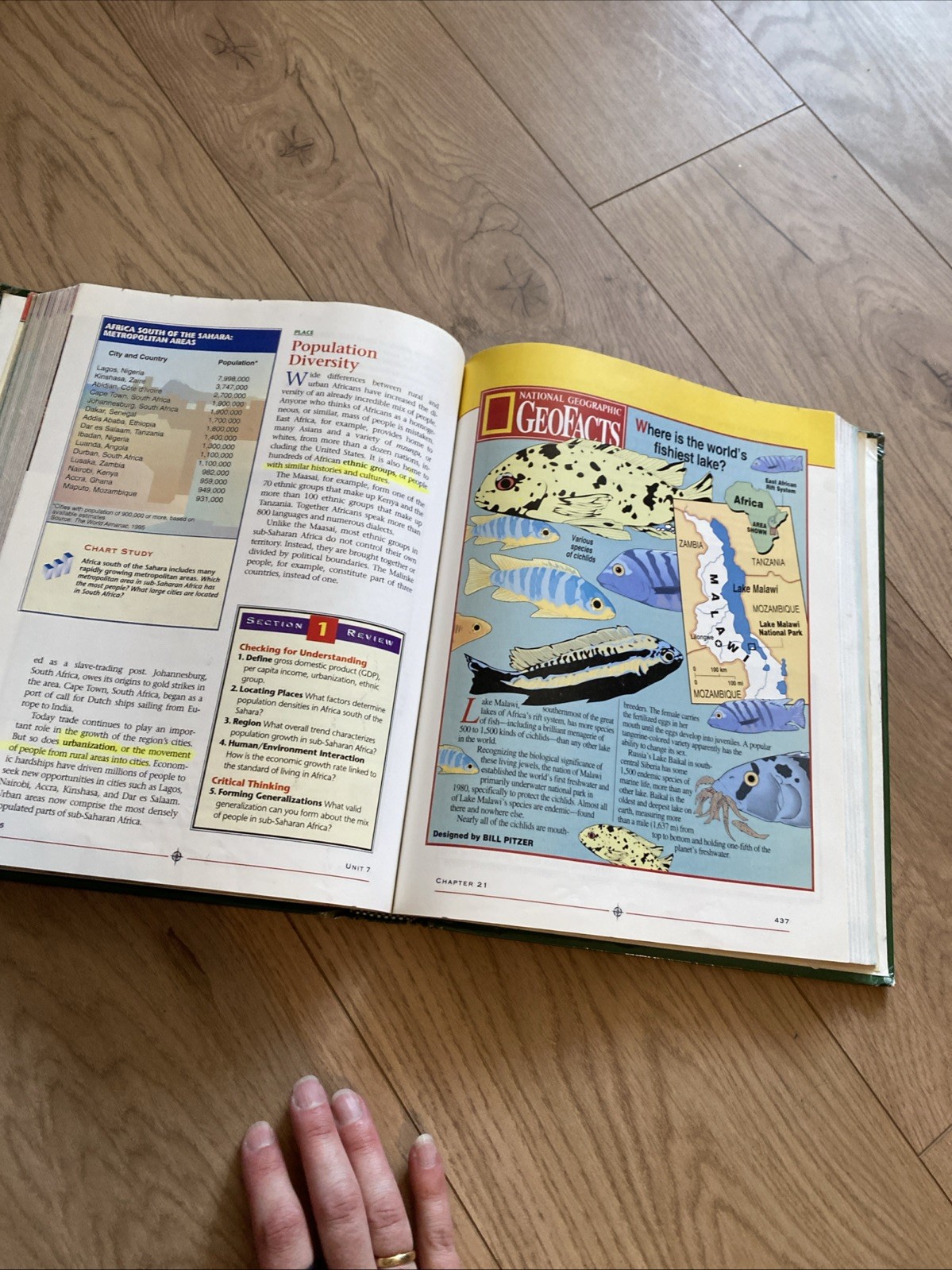 World Geography