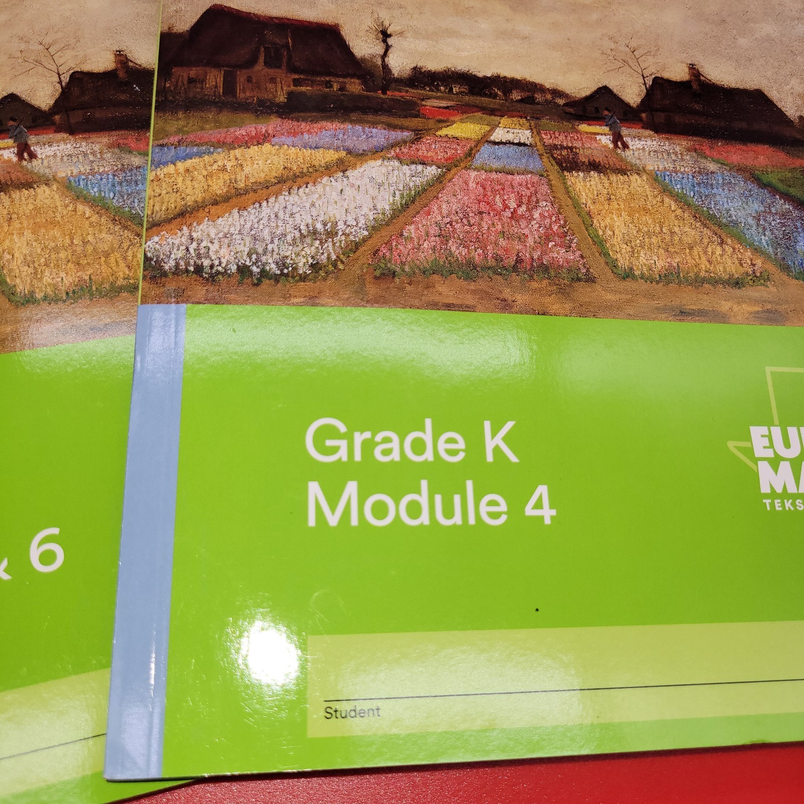 Eureka Math TEKS Edition Succeed Grade K Modules 4-6 Workbook