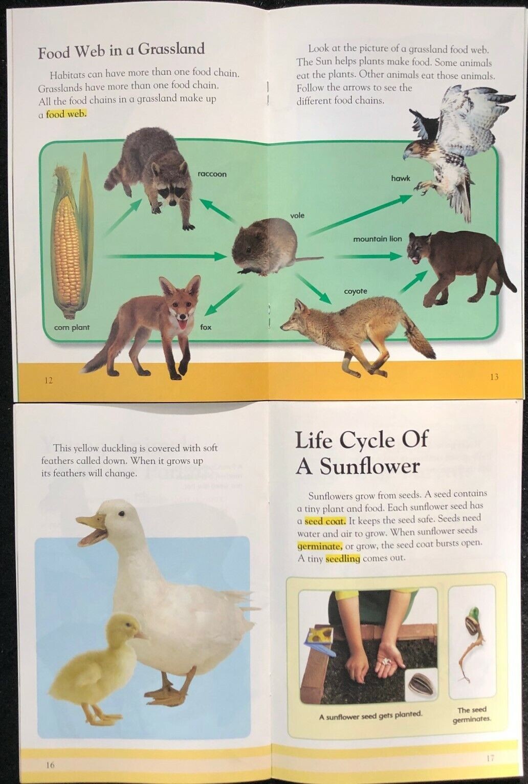 2nd Grade LIFE SCIENCE Curriculum Readers (12 books) Teachers/Homeschool/Tutors
