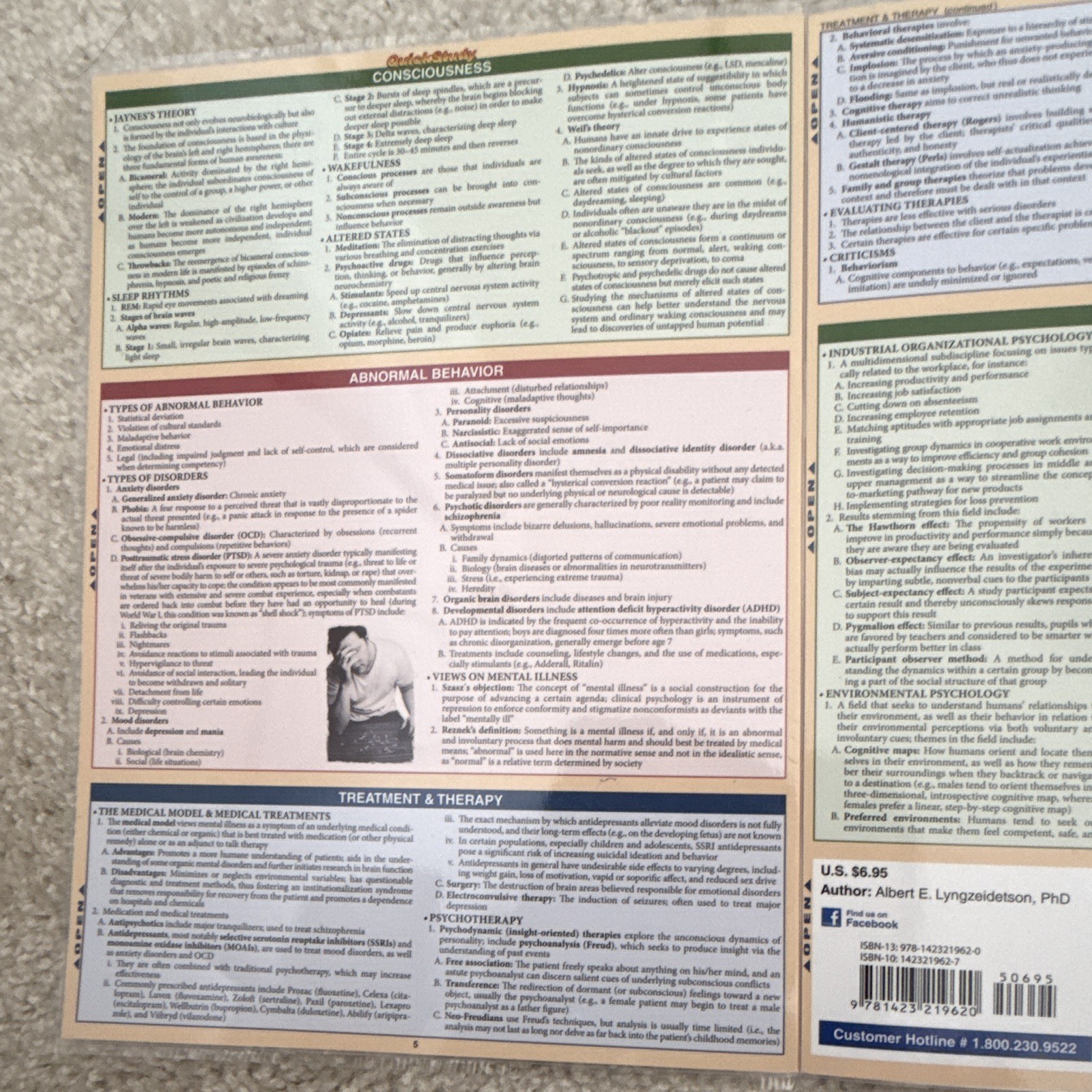 BarCharts QuickStudy Psychology Laminated Study Guide, 2015, 6 Pages