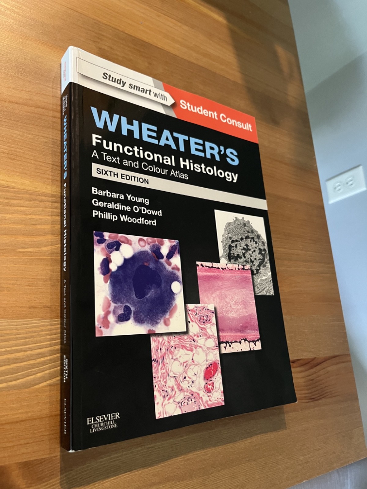 Wheaters Functional Histology 6th Edition