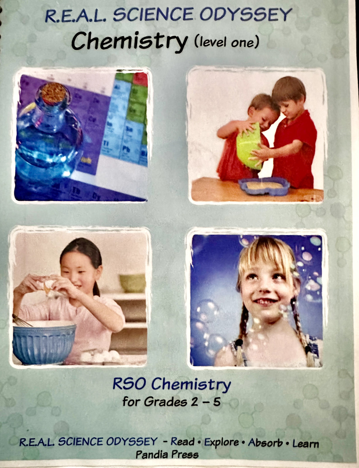 R.E.A.L. SCIENCE ODYSSEY, CHEMISTRY (LEVEL ONE) By Blair Lee & Margie Navarro