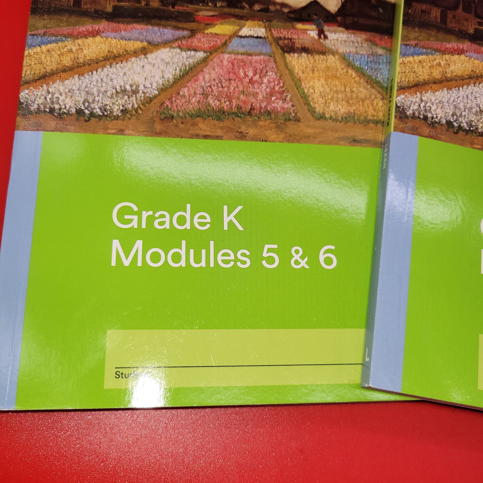 Eureka Math TEKS Edition Succeed Grade K Modules 4-6 Workbook
