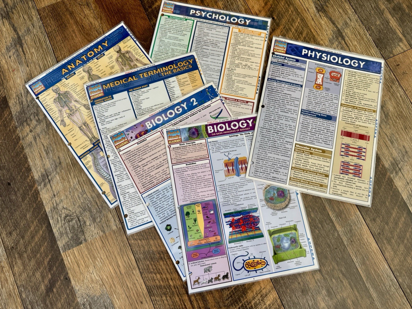 NEW Bar Charts Quick Study Laminated Study Guides Bundle of 6 Human Body