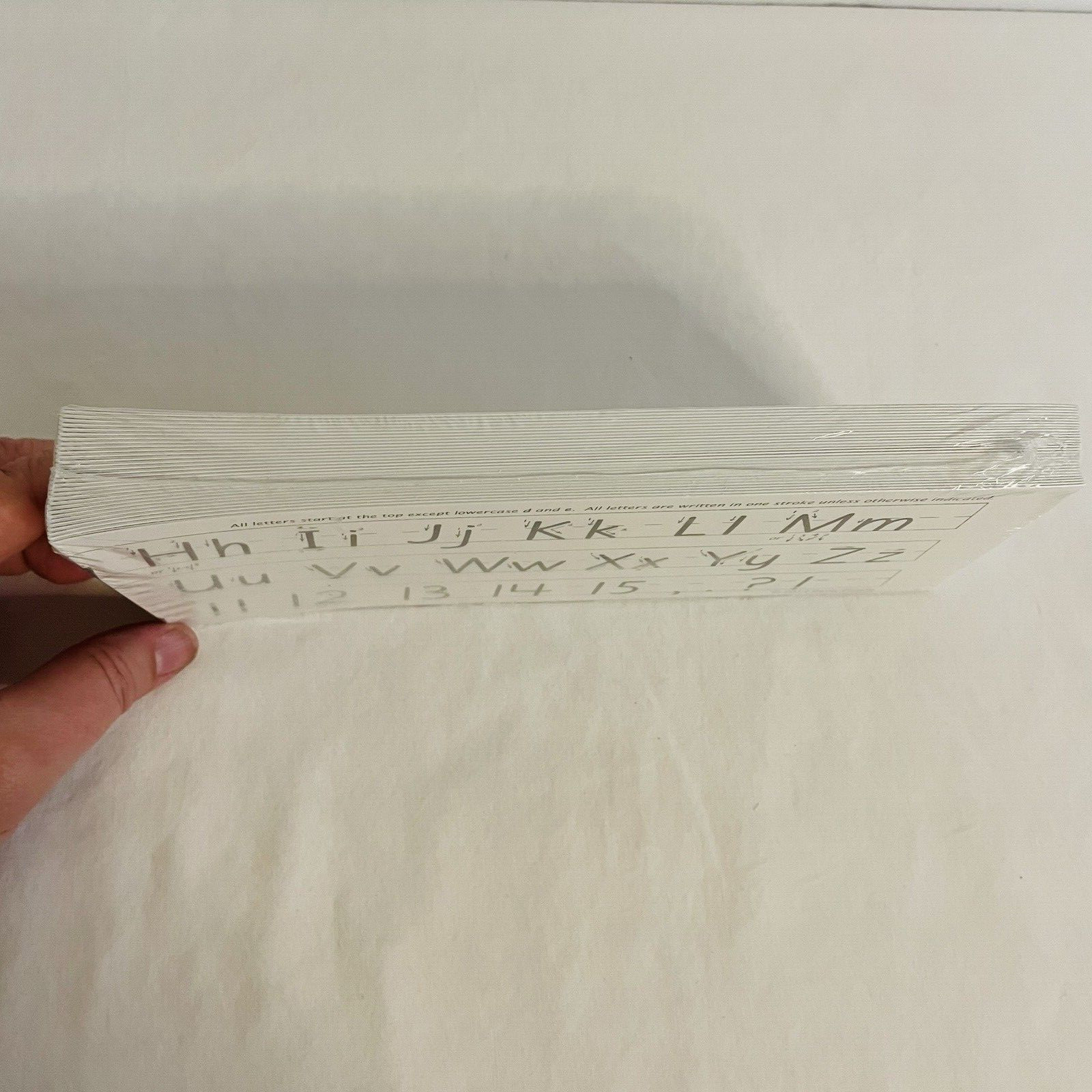 Getty Dubay Basic Italic Handwriting Desk Strips Set of 30
