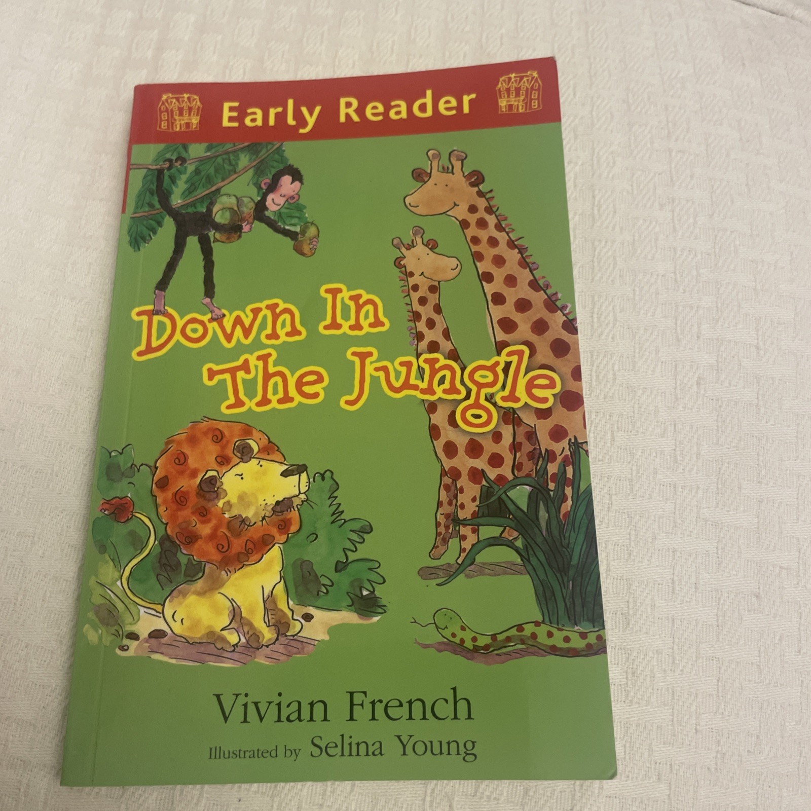 Early Reader :Down To The Jungle Book