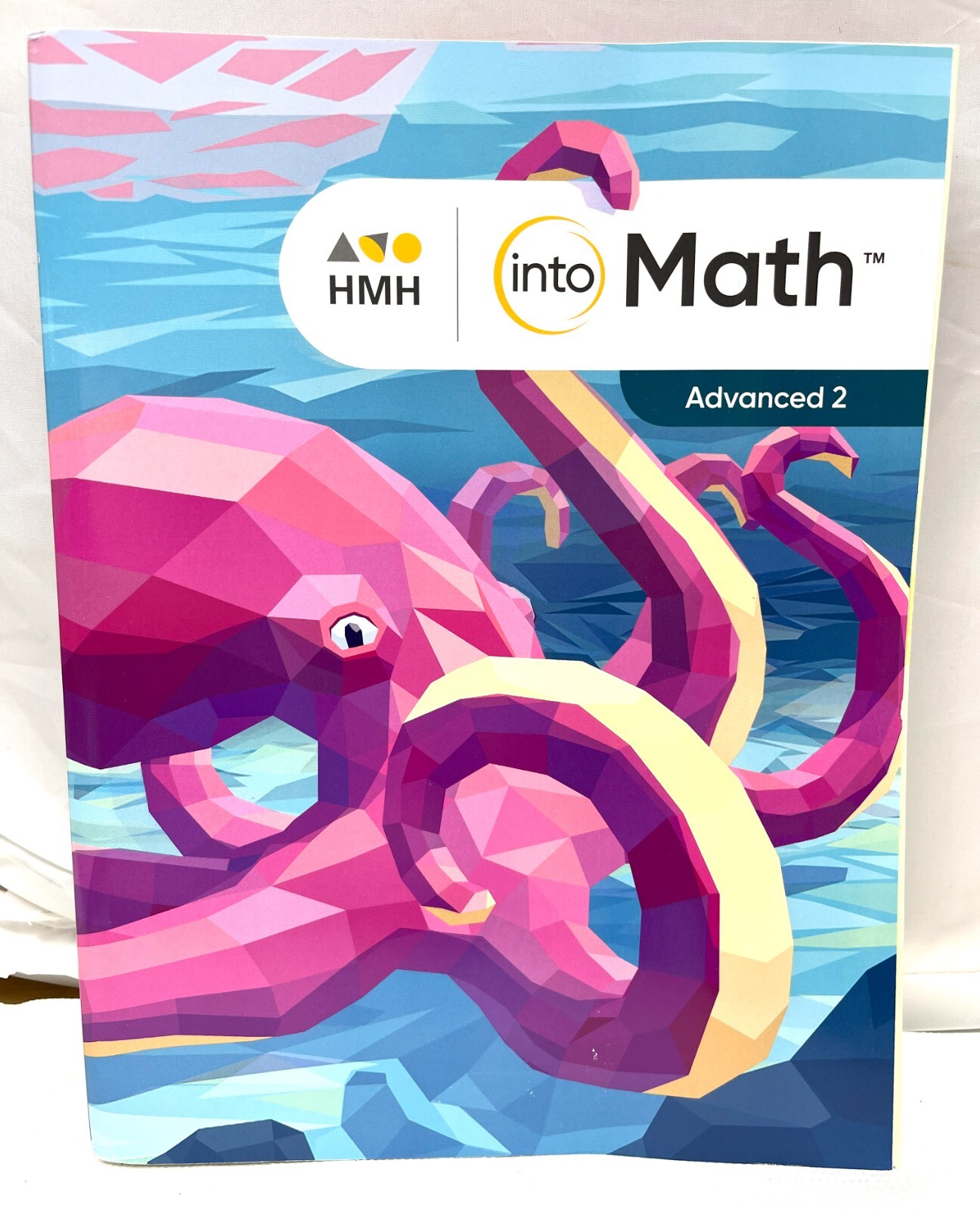 Into Math Advanced 2 Workbook Paperback, by Burger Edward. P.H.D.