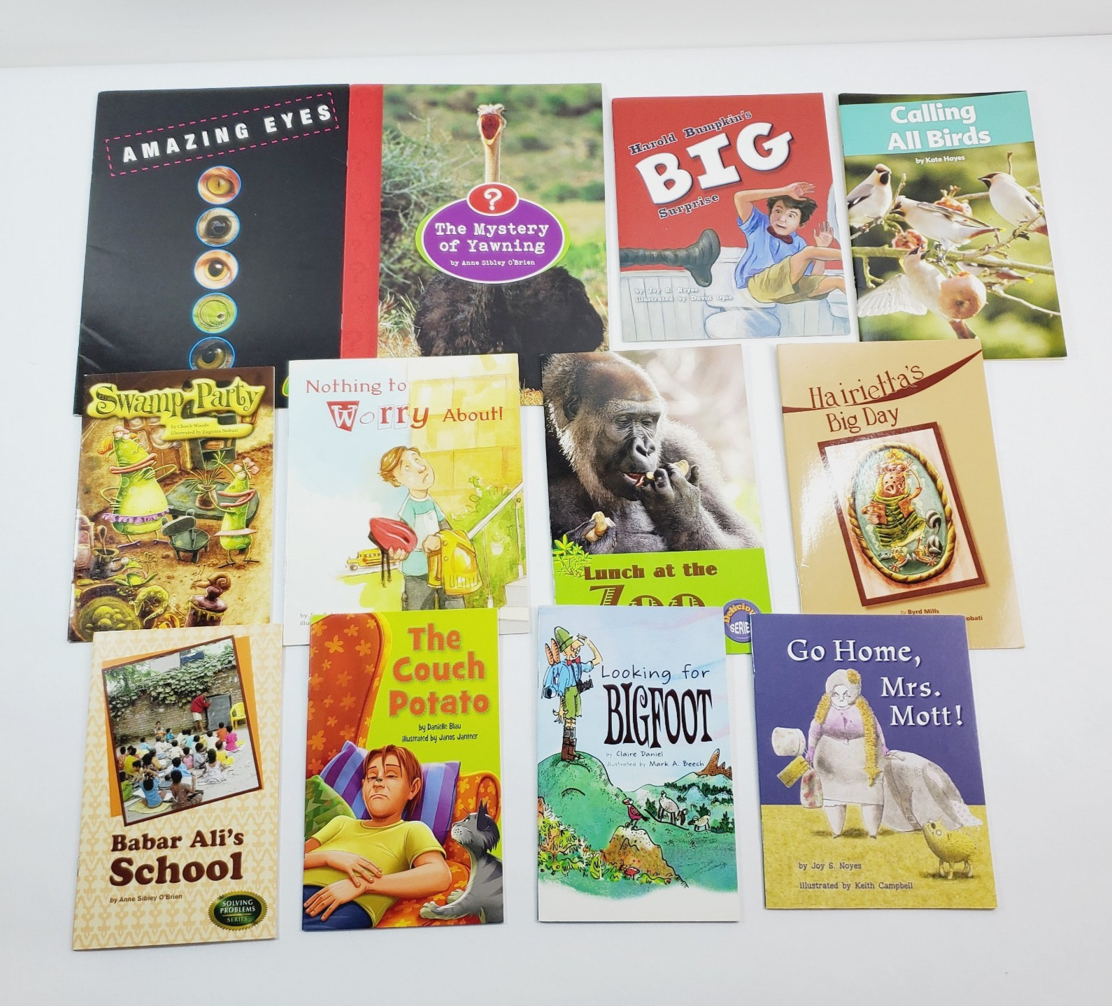 Lot of 12 Fountas & Pinnell LLI Red System Level K Leveled Literacy Readers