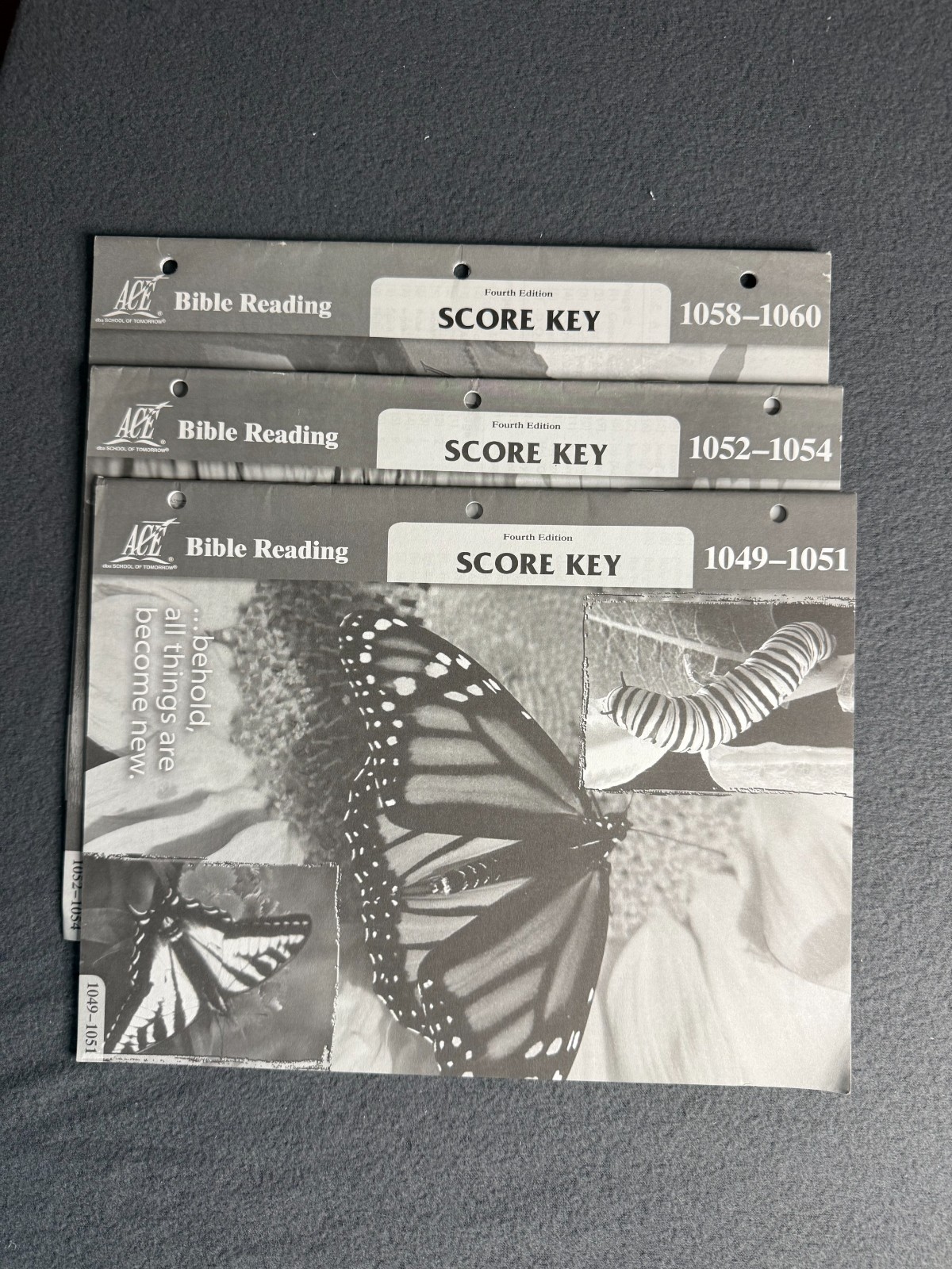 ACE Pace: Bible Reading Score Keys, grade 5