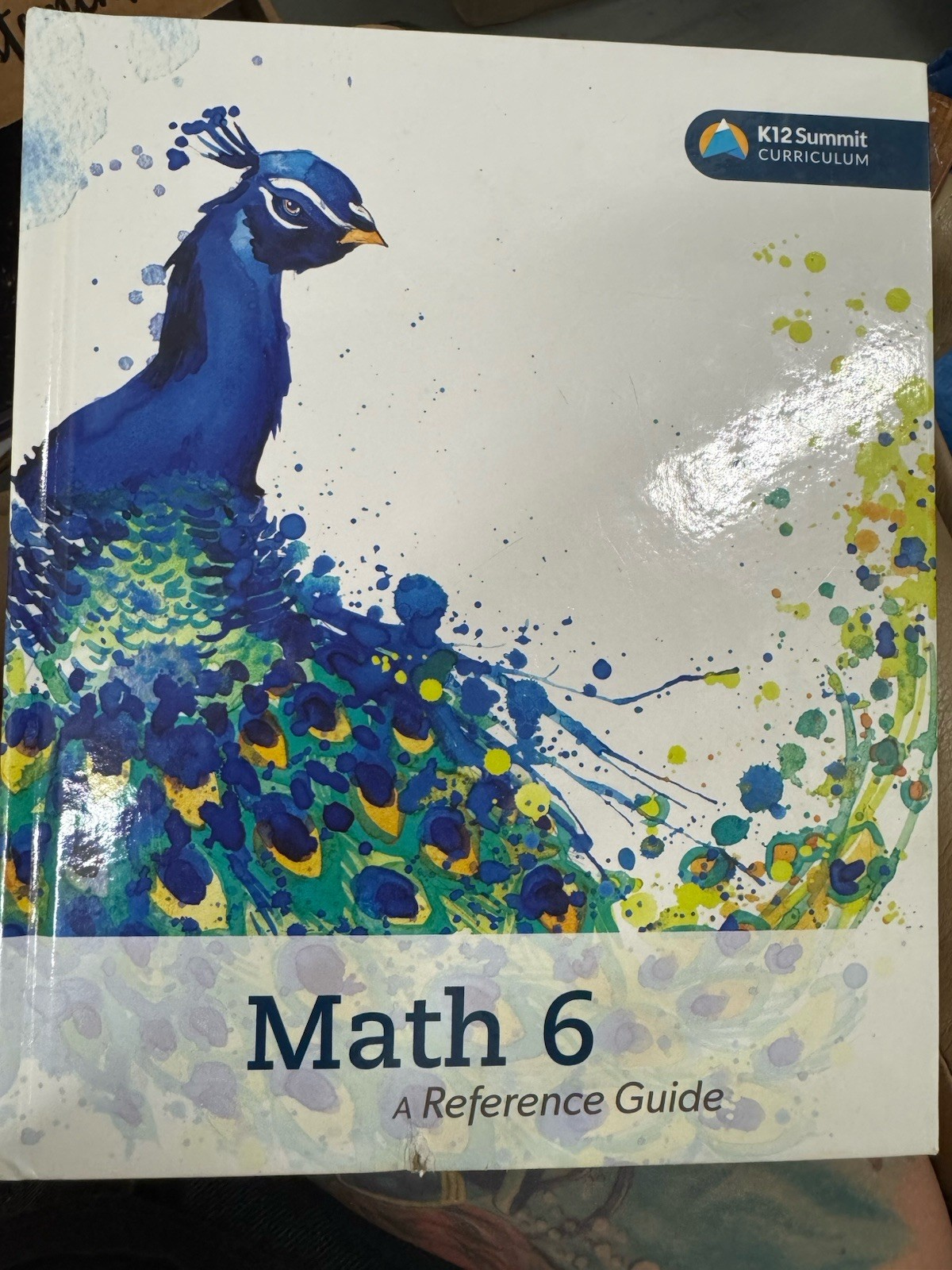 Math 6 Reference Guide K12 Summit Curriculum Grade 6 Homeschool Book