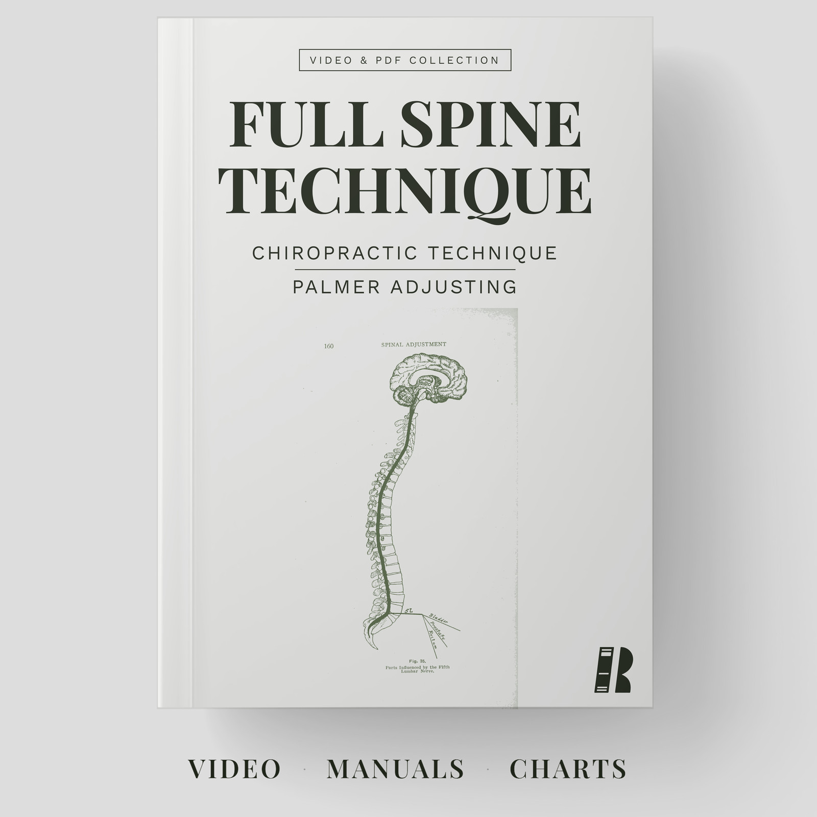 Full Spine Chiropractic Technique Burns Palmer Adjusting Review