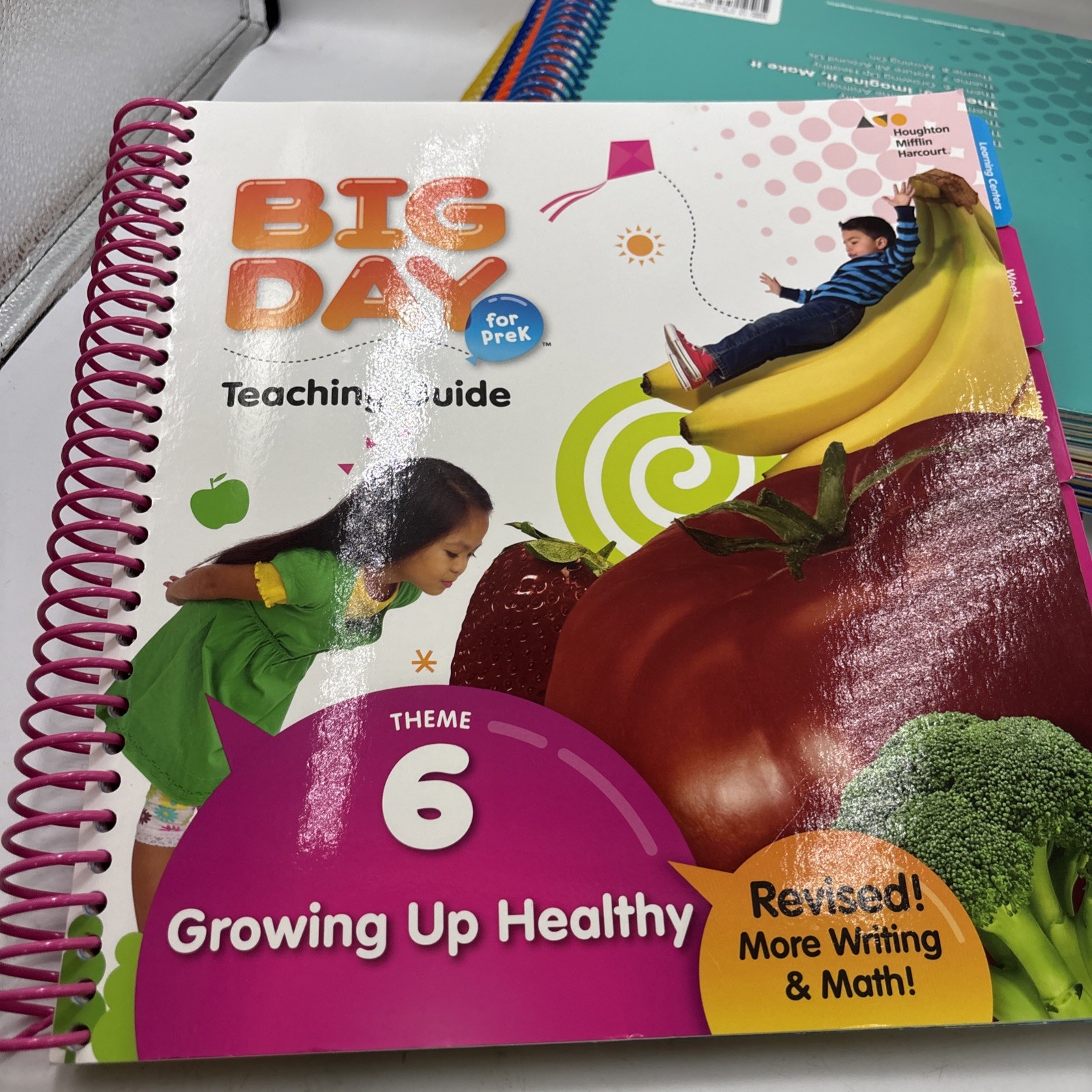 Big Day for PreK Teaching Guide Theme 1-8 Set Revised Ed Houghton Mifflin