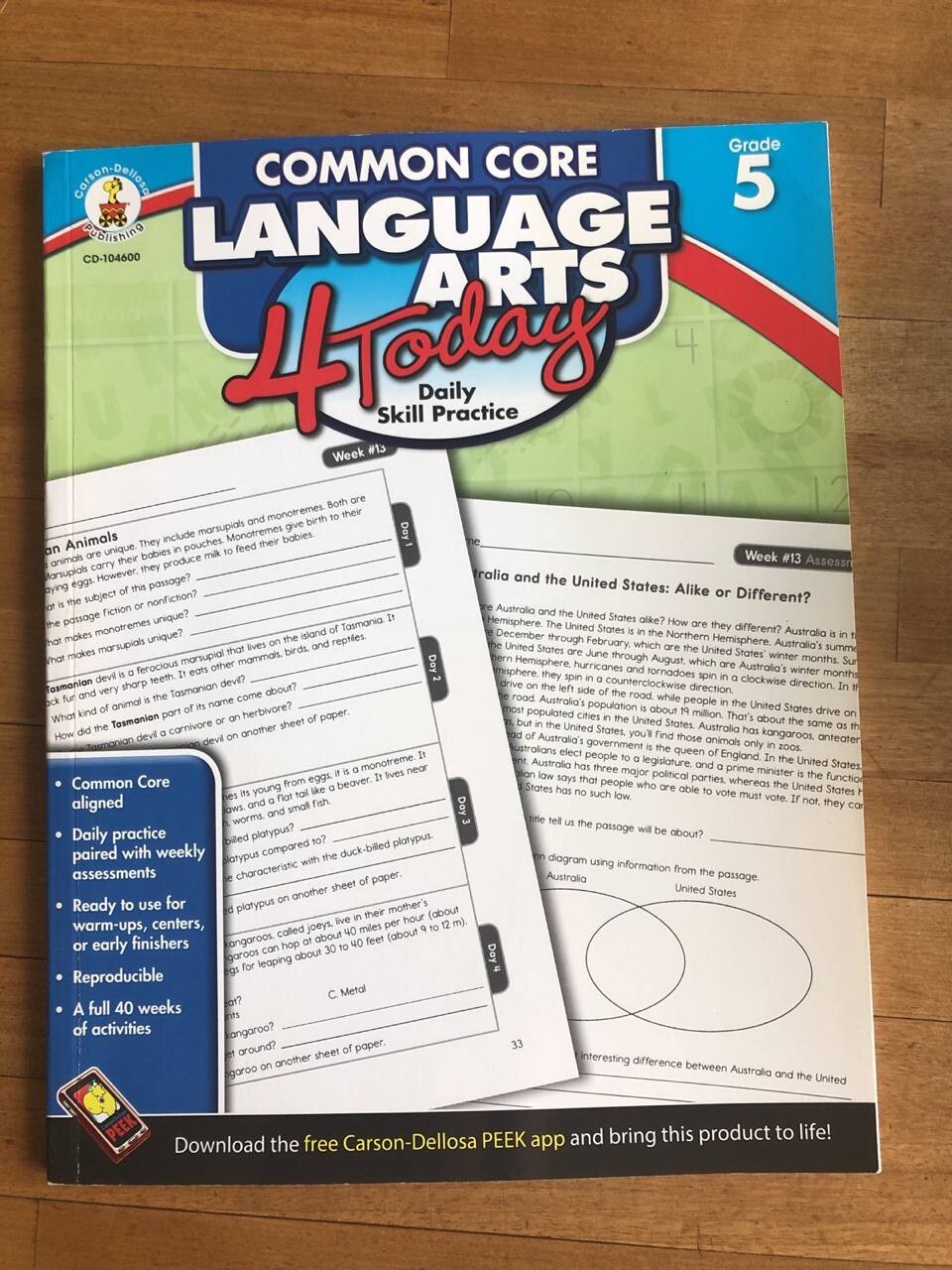 Common Core Language Arts 4today grade 5 Daily Skill Practice 
