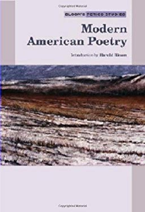 Modern American Poetry Hardcover
