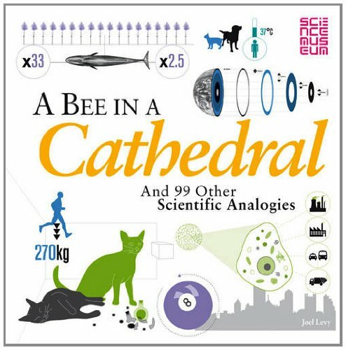 A Bee in a Cathedral: And 99 Other Scientific Analogies (Science… by Joel Levy