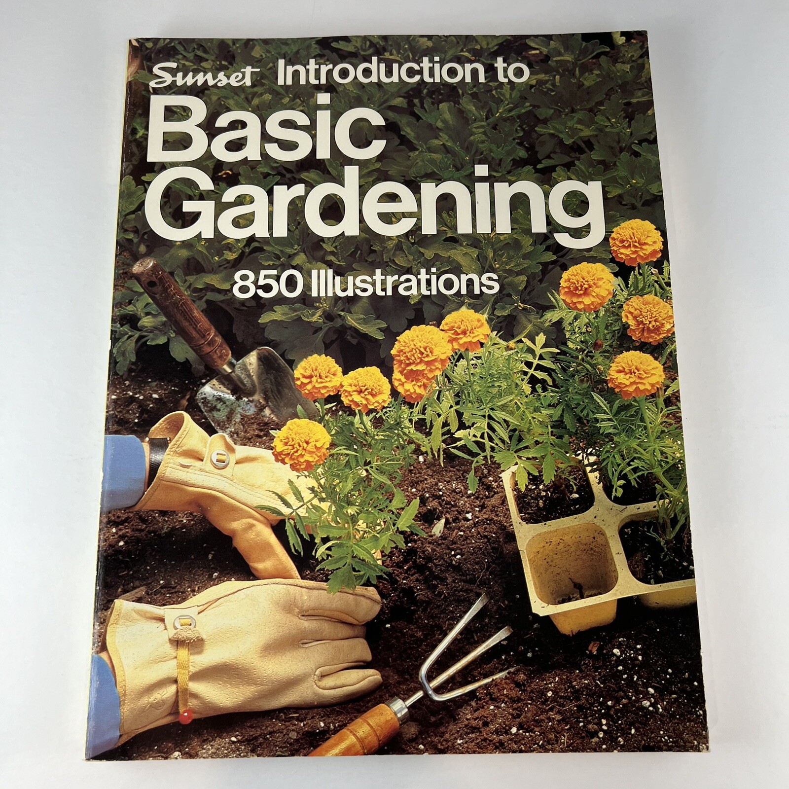 Sunset Introduction To Basic Gardening – 850 Illustrations – 1981