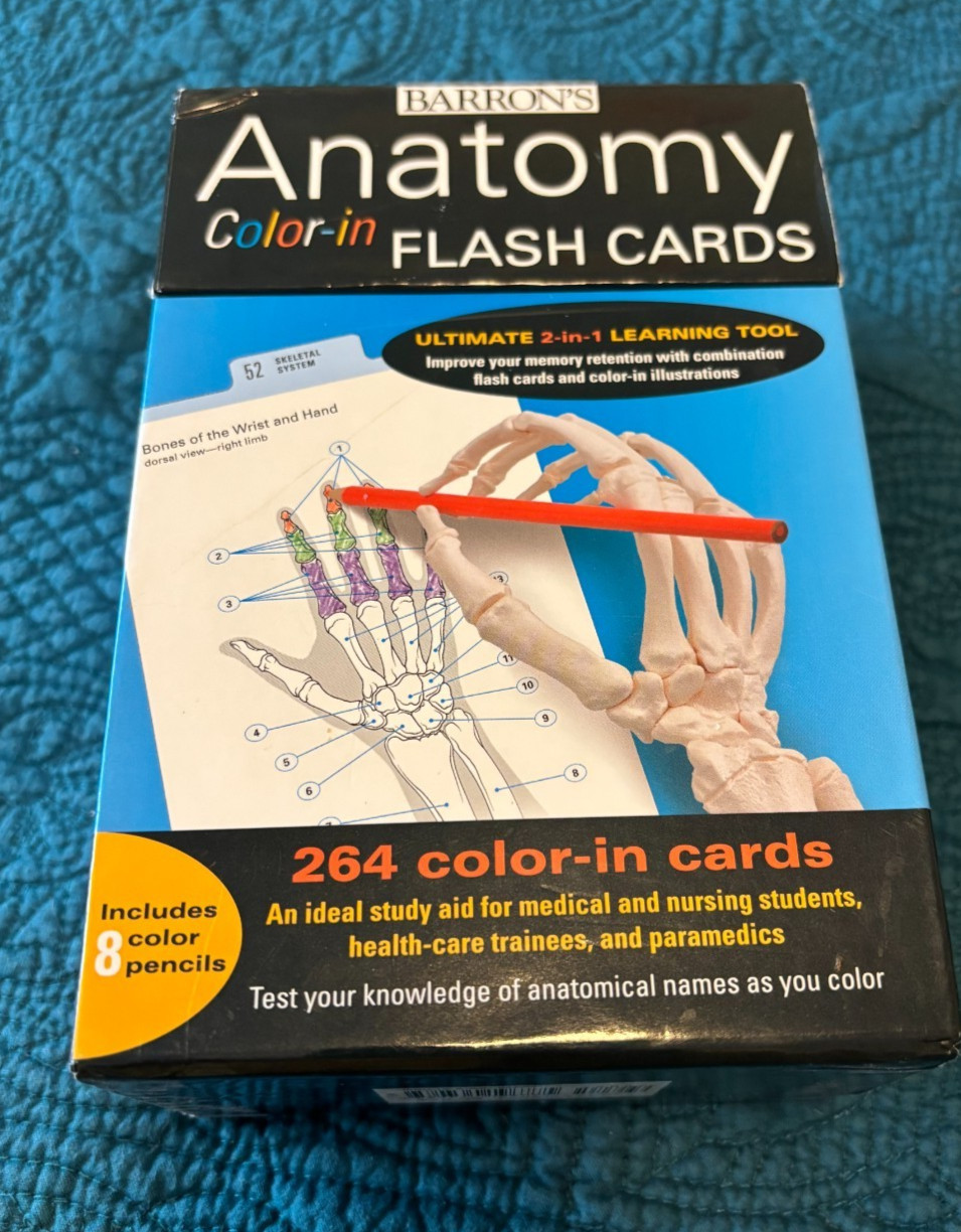 Barron’s Anatomy Color In Flash Cards