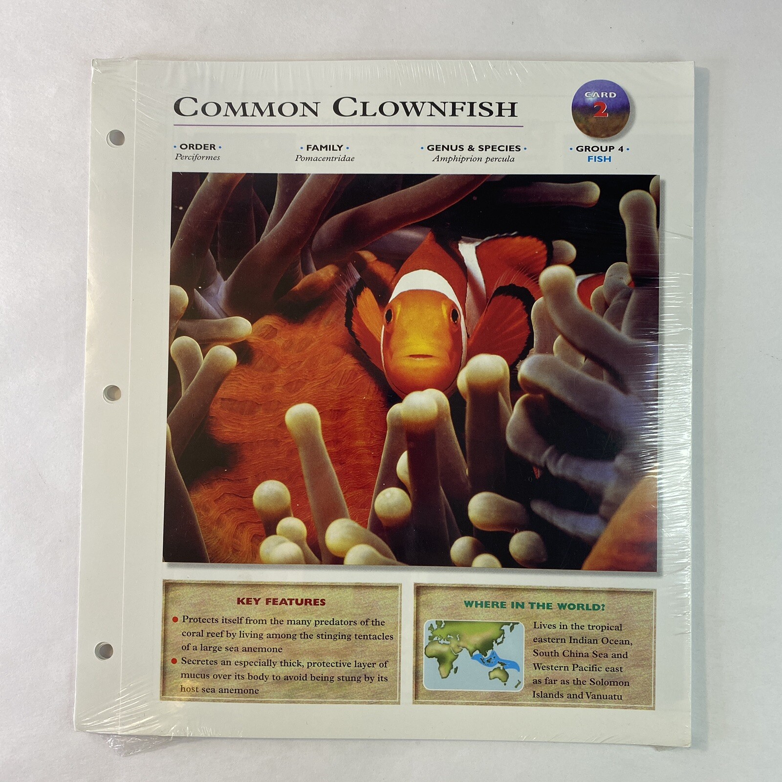 Wildlife Explorer Study Guides – Sealed Pack #01 – 12 Pages – New