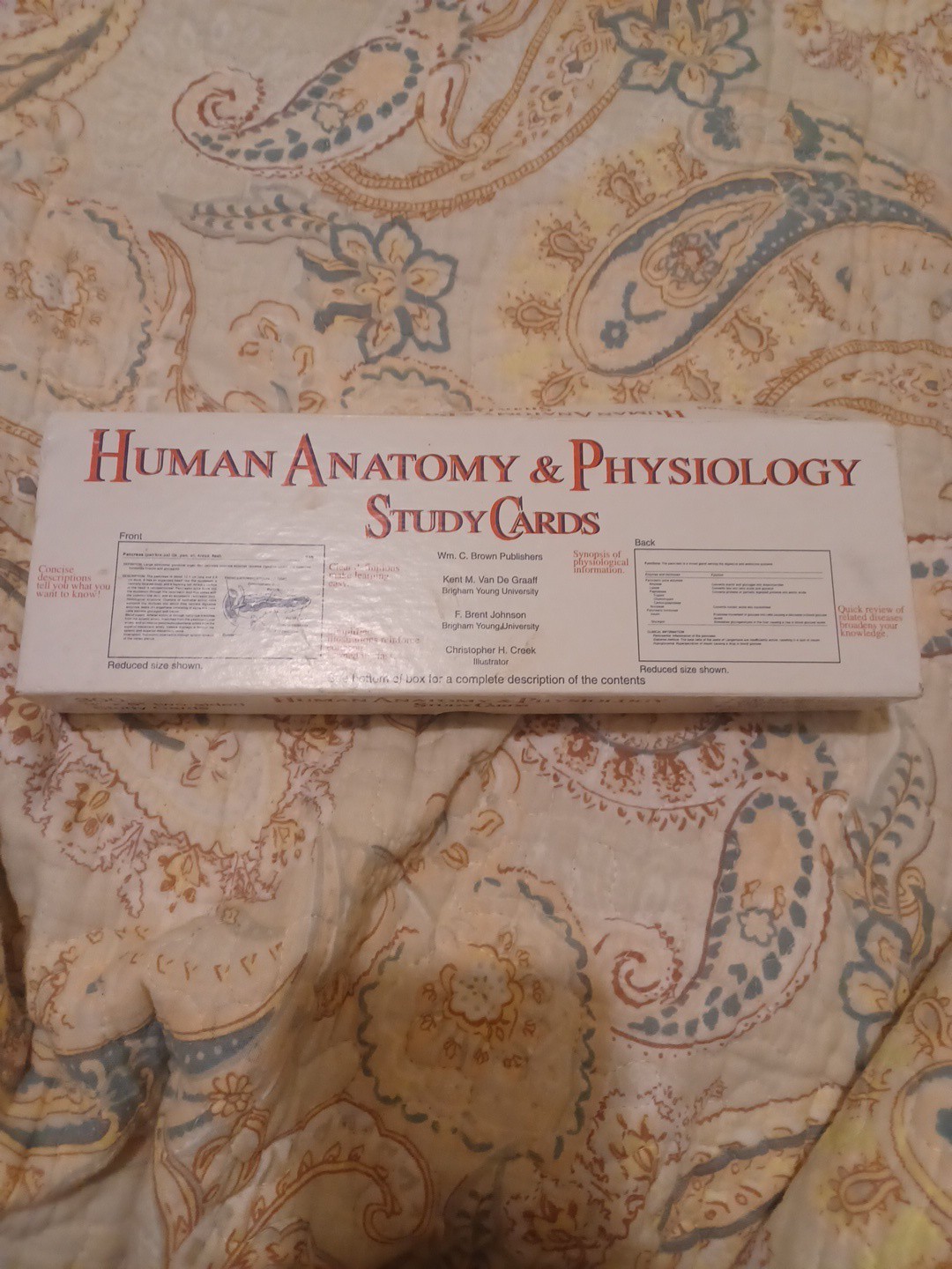 Human Anatomy & Physiology Study Cards