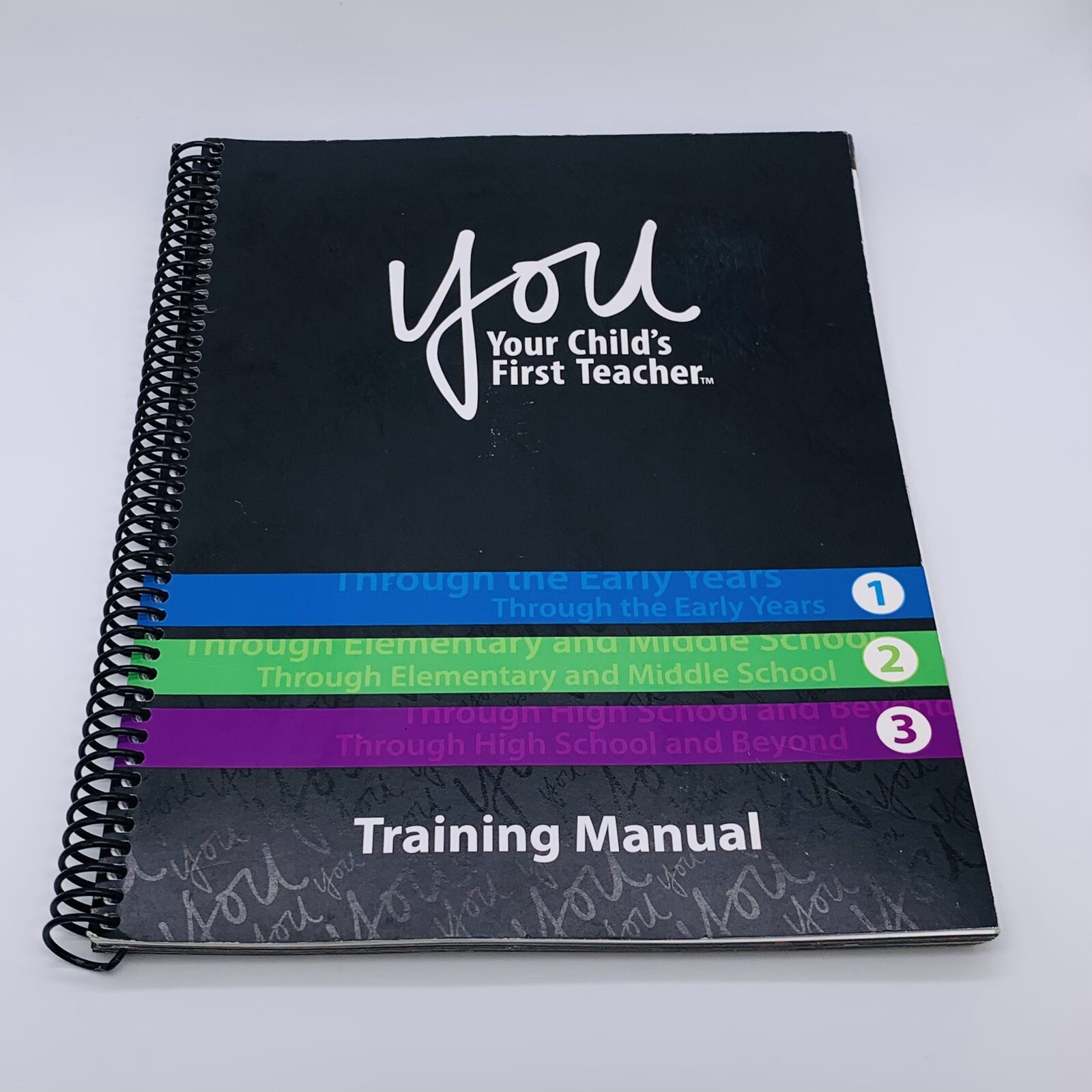 You: Your Child’s First Teacher Training Manual by Sunny P. Chico English 2013