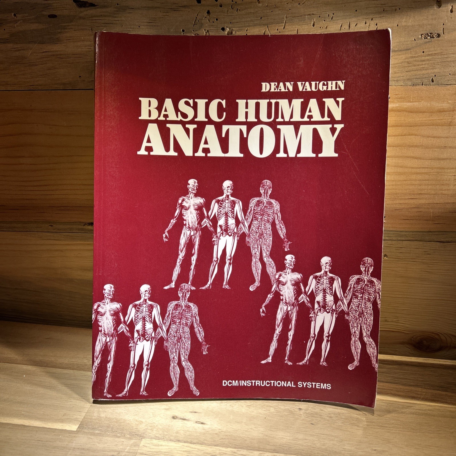 1998,Dean Vaughn TotalRetention System Basic Human AnatomyLearning GuideWorkbook