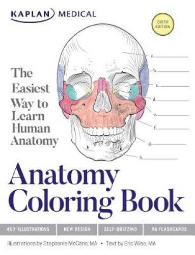 Anatomy Coloring Book – Paperback By McCann, Stephanie – GOOD
