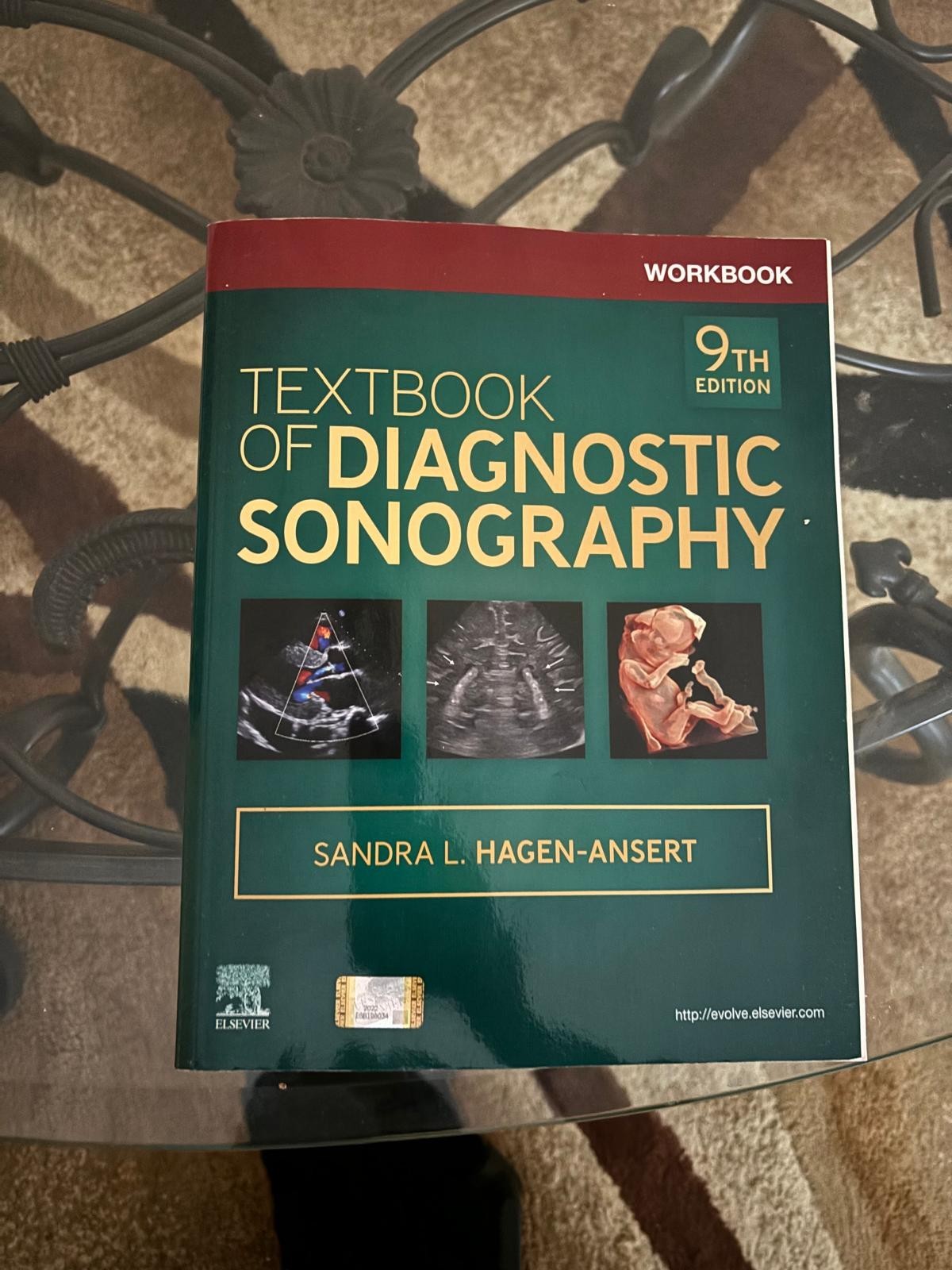 Workbook for Textbook of Diagnostic Sonography by Sandra L. Hagen-Ansert Paperb