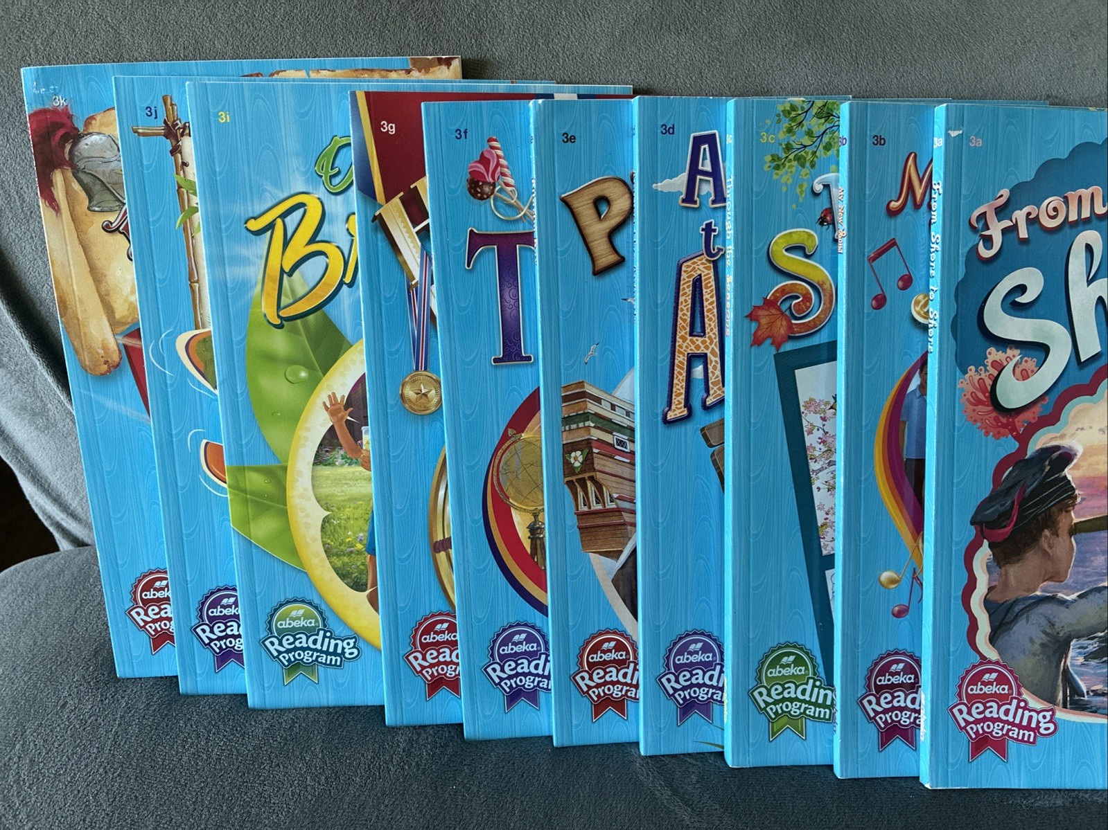 3rd Grade Readers – Abeja