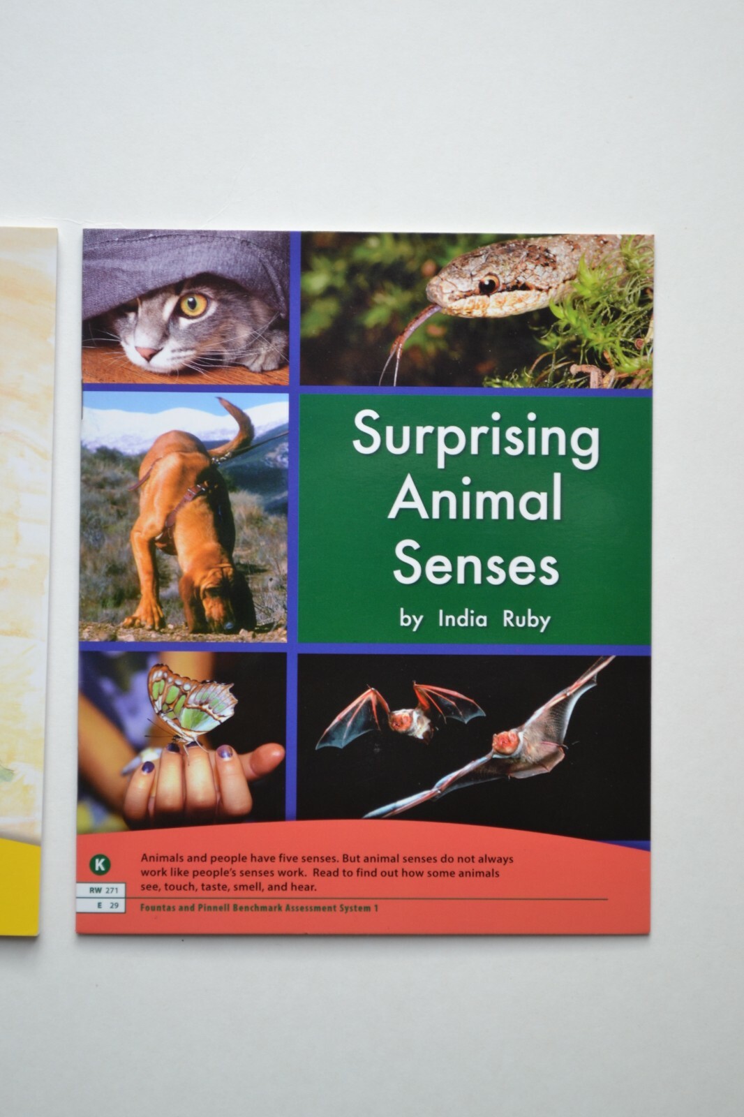 FOUNTAS & PINNELL Leveled Readers Level K Guided Reading Books Grades 1 & 2