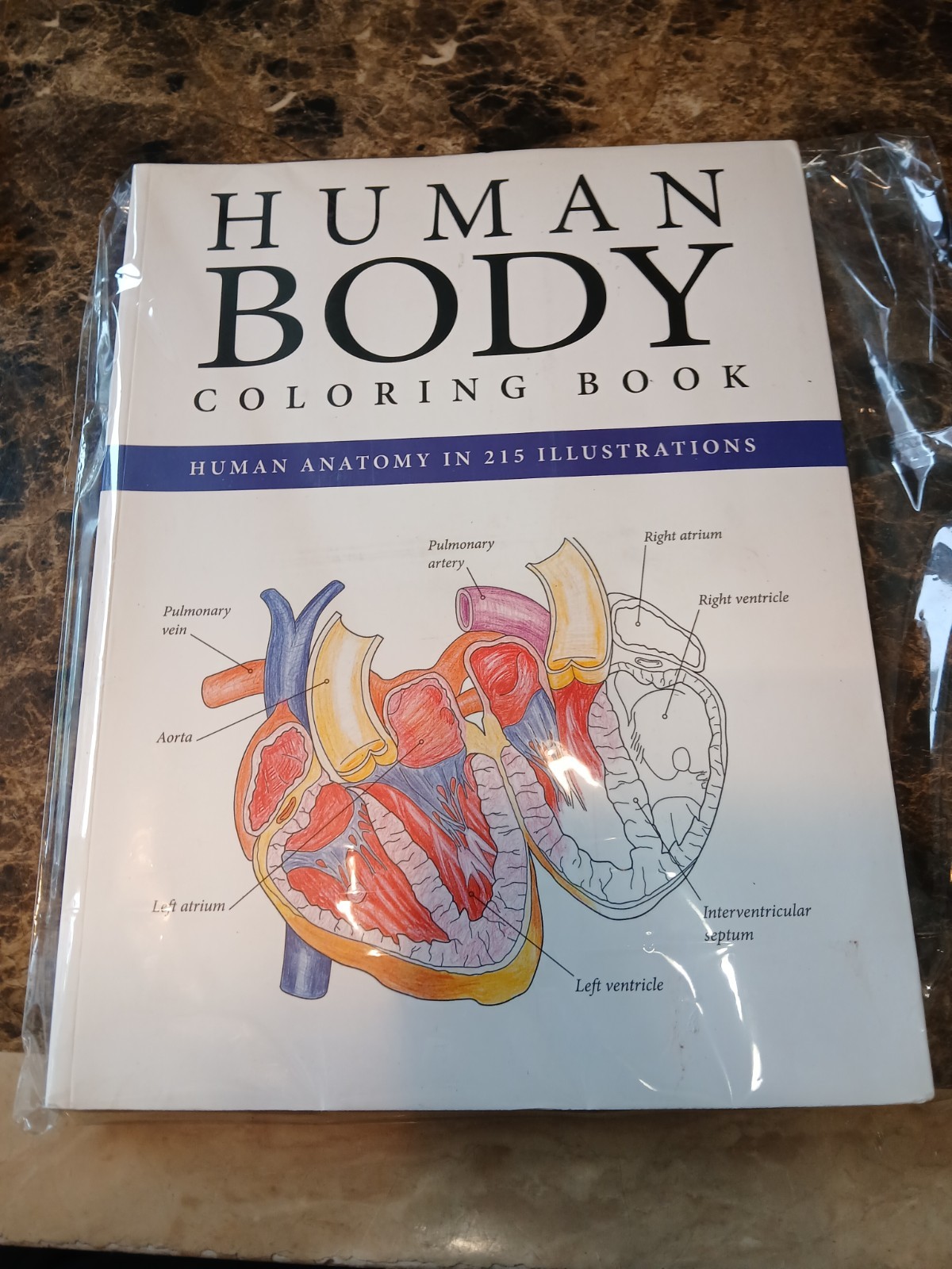 Human Body Coloring Book Illustrated Anatomy Human Body Paperback Excellent cond