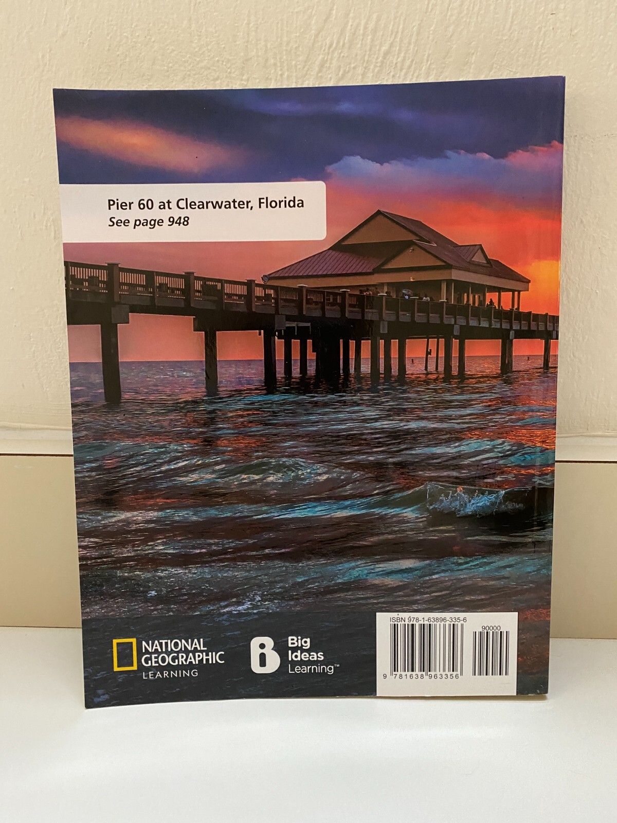 Florida’s B.E.S.T. Standards for Math-Algebra 2 w/CalcChat & CalcView Vol 2