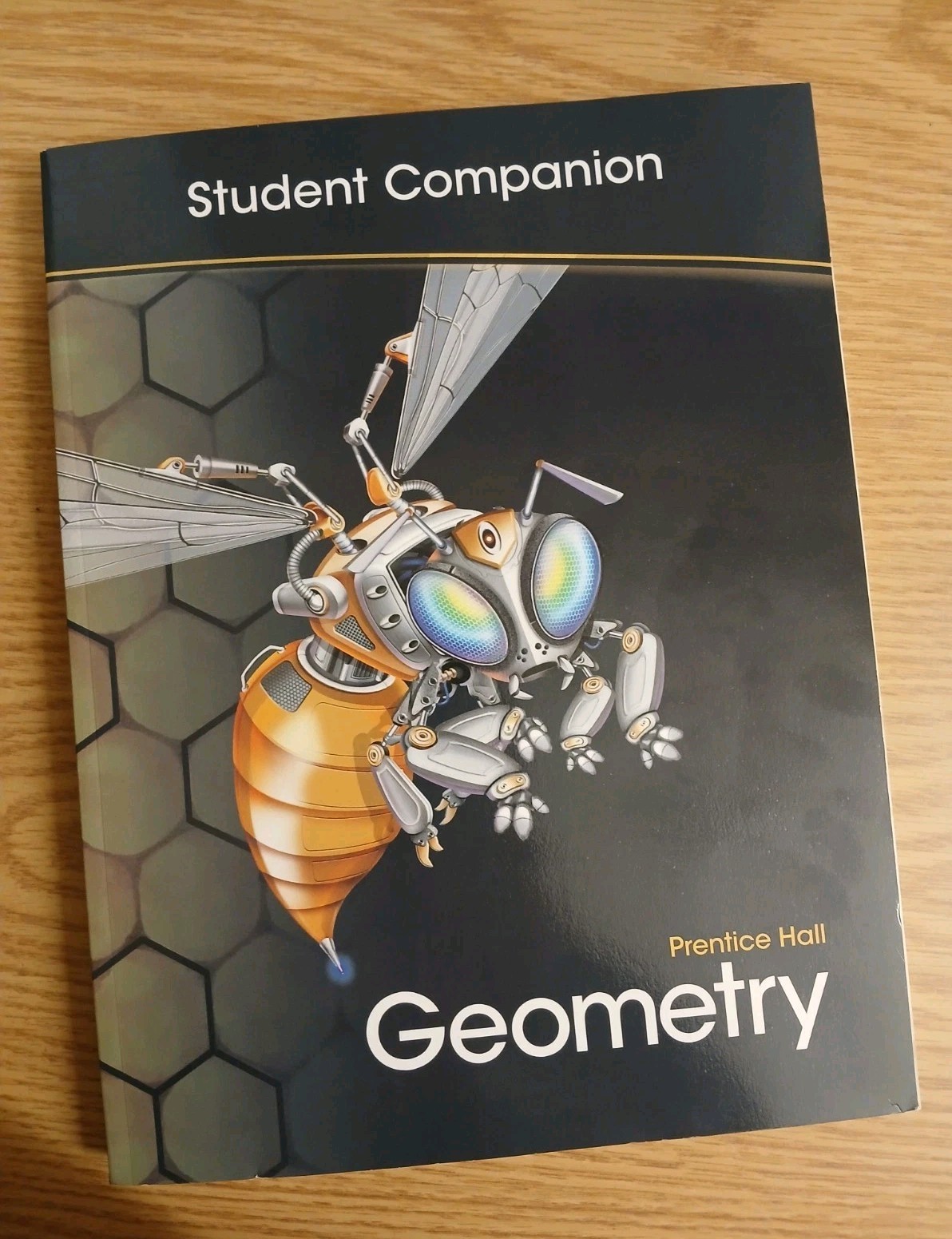 Pearson Geometry Common Part 2