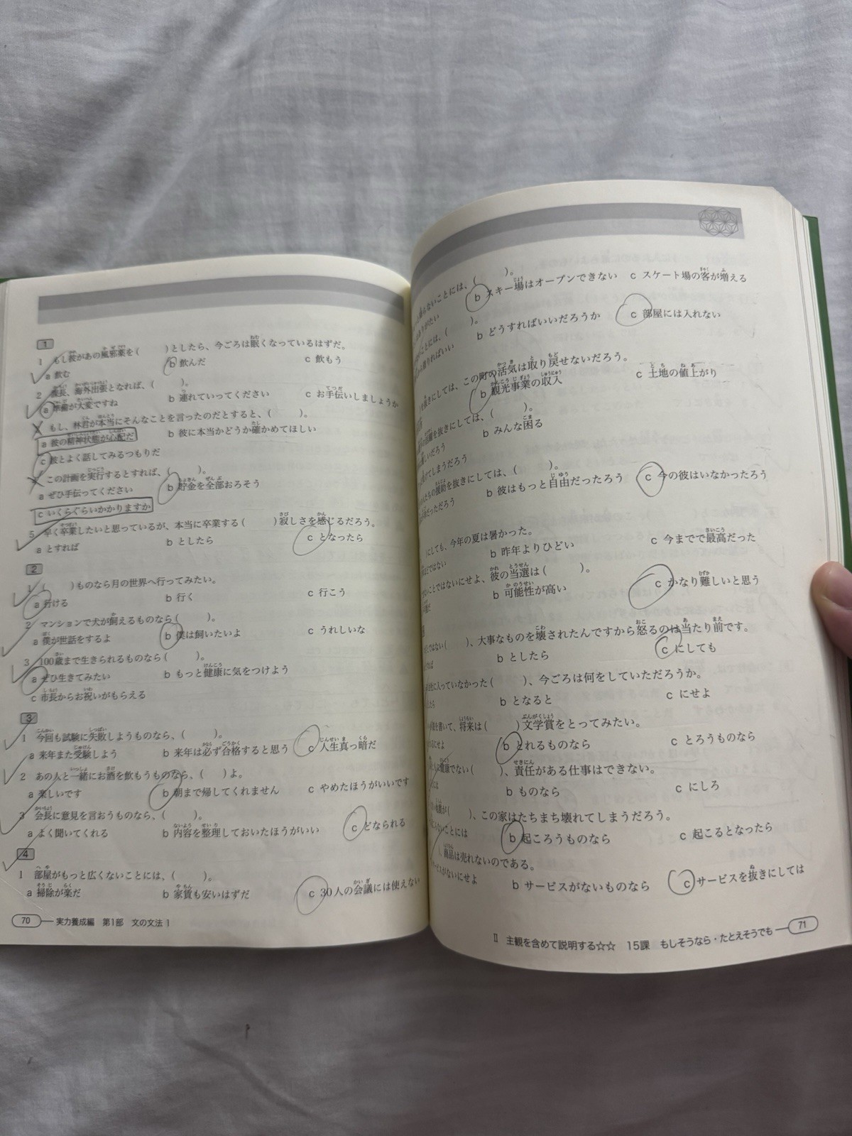 JLPT N2 Grammar Shin Kanzen Master Japanese Language Proficiency Test Used