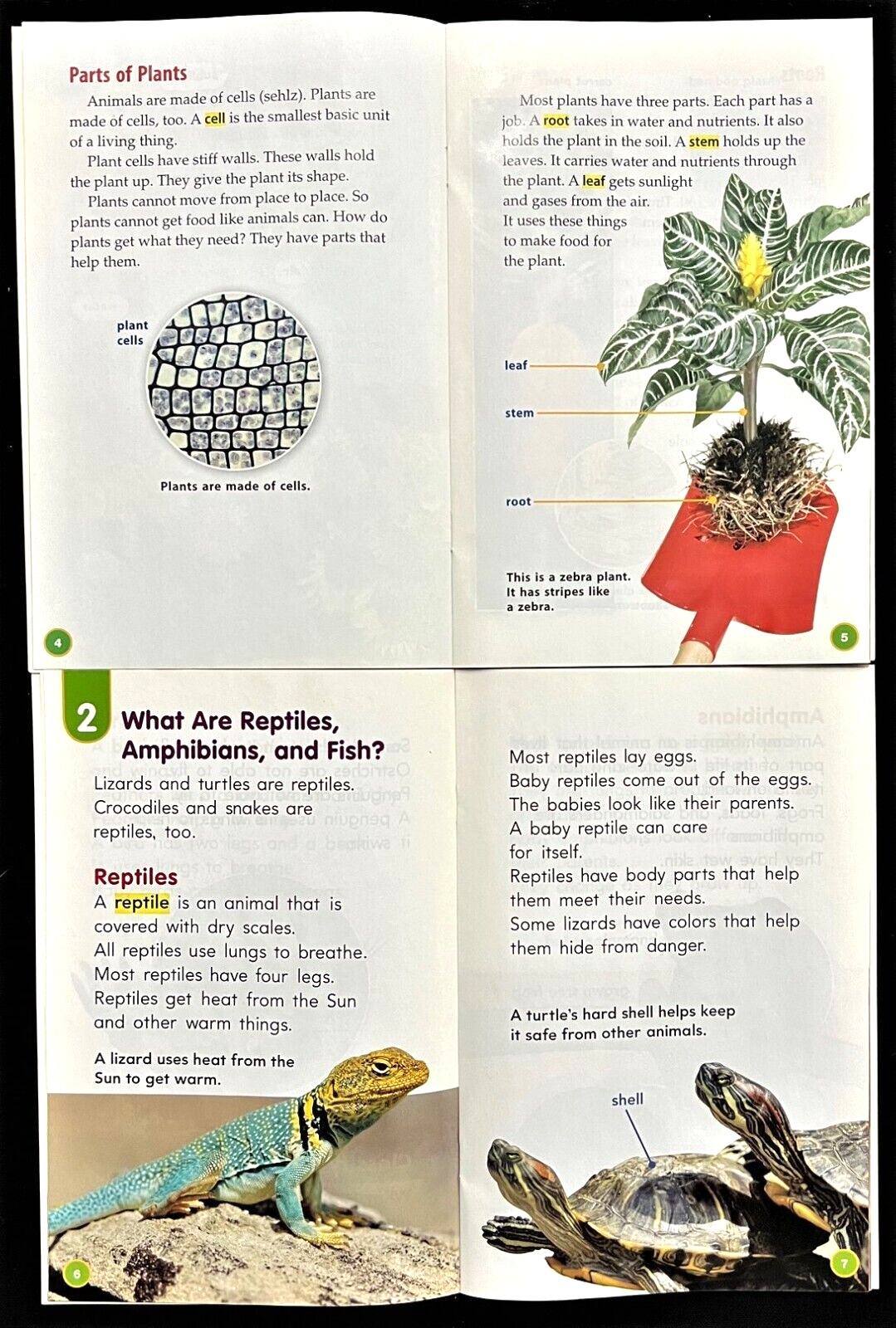 3rd – 4th Grade – SCIENCE SUPPORT READERS (6 books) (2006, Houghton Mifflin)