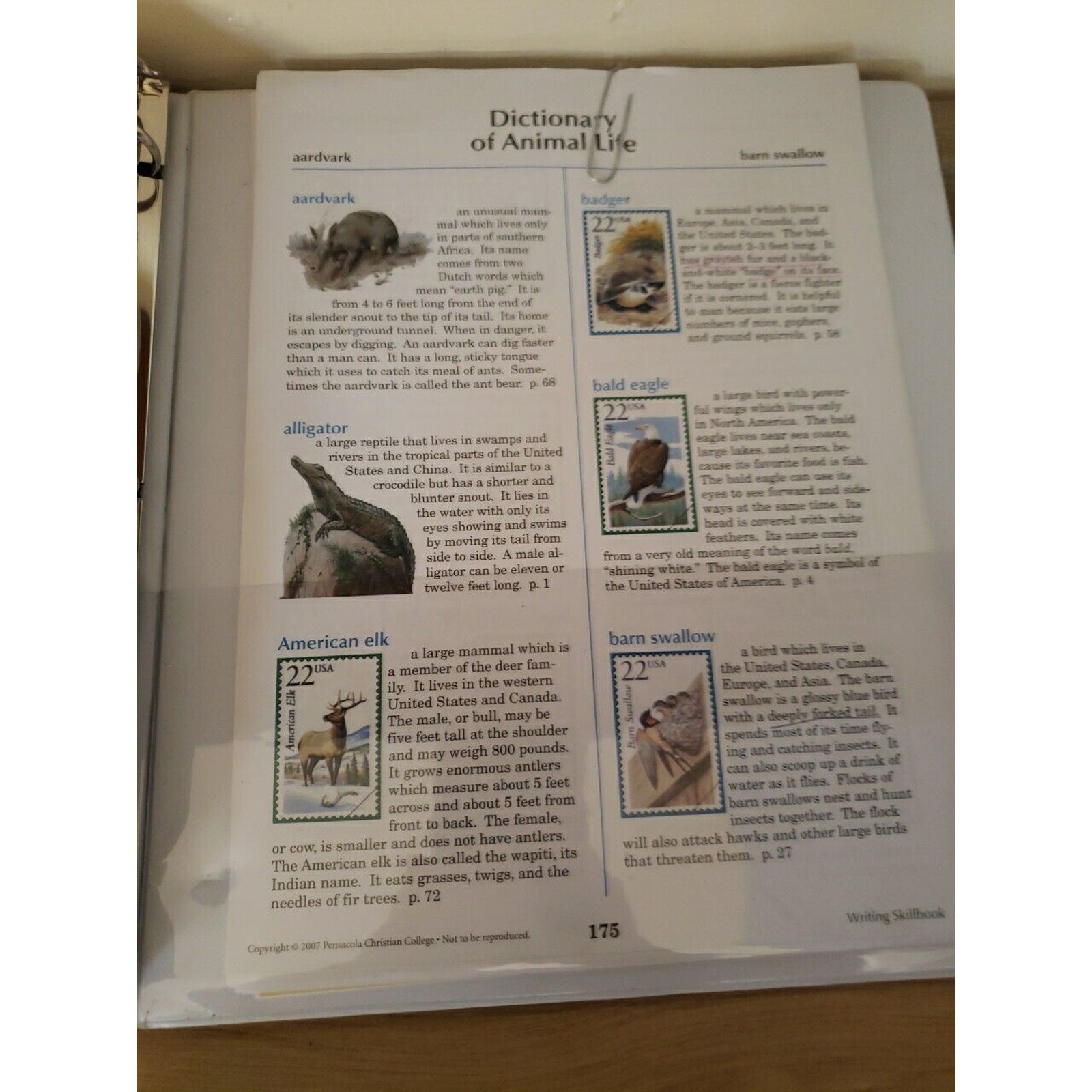 A Beka Academy Video Program ~ Video Manual ~ Grade 3 ~ Homeschool Please Read