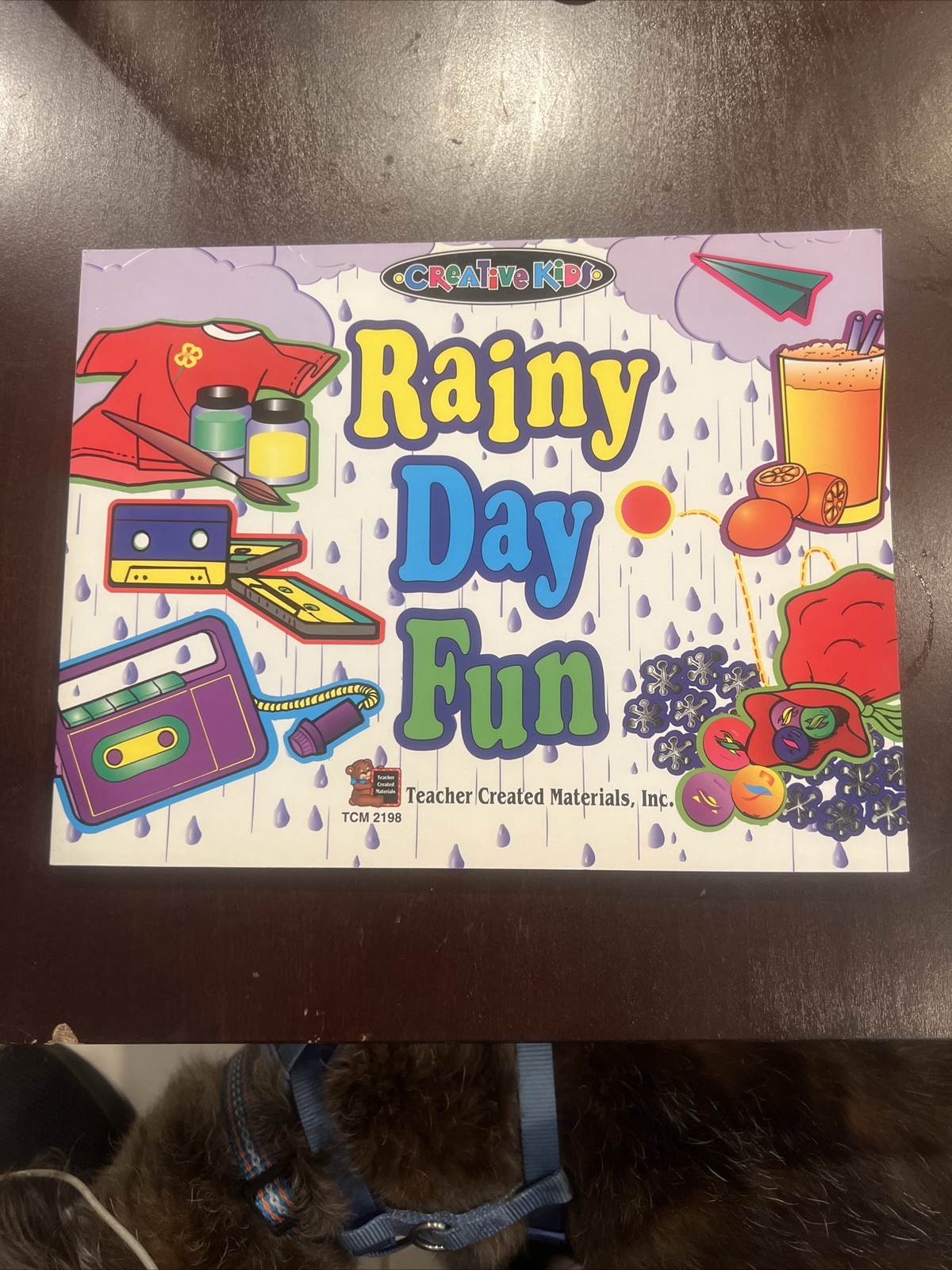 Creative Kids Rainy Day Fun by Cynthia Holzschuher Teacher Created Materials