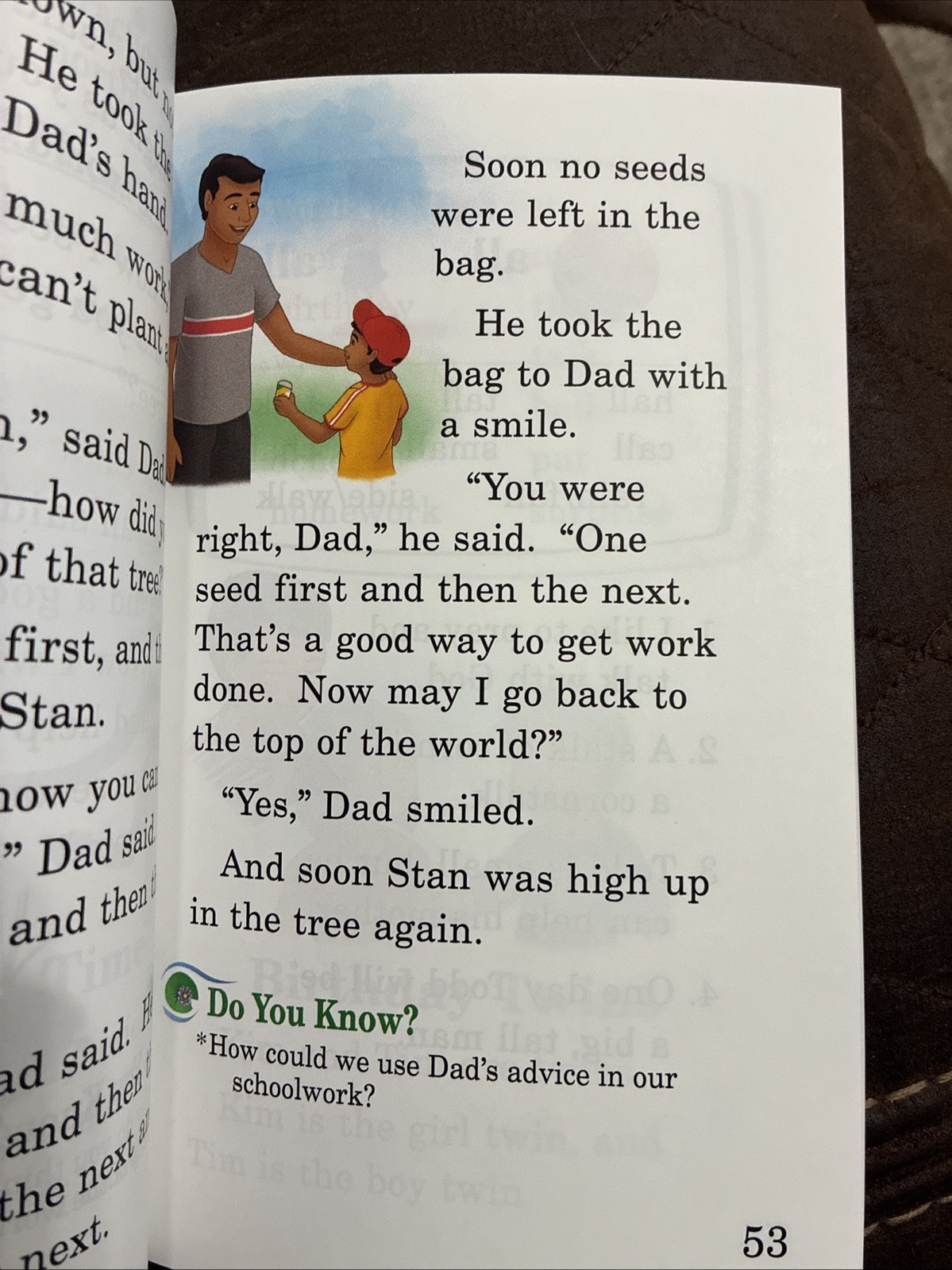 Abeka Reading Program, Stepping Stones, 6th Edition, 1st Grade