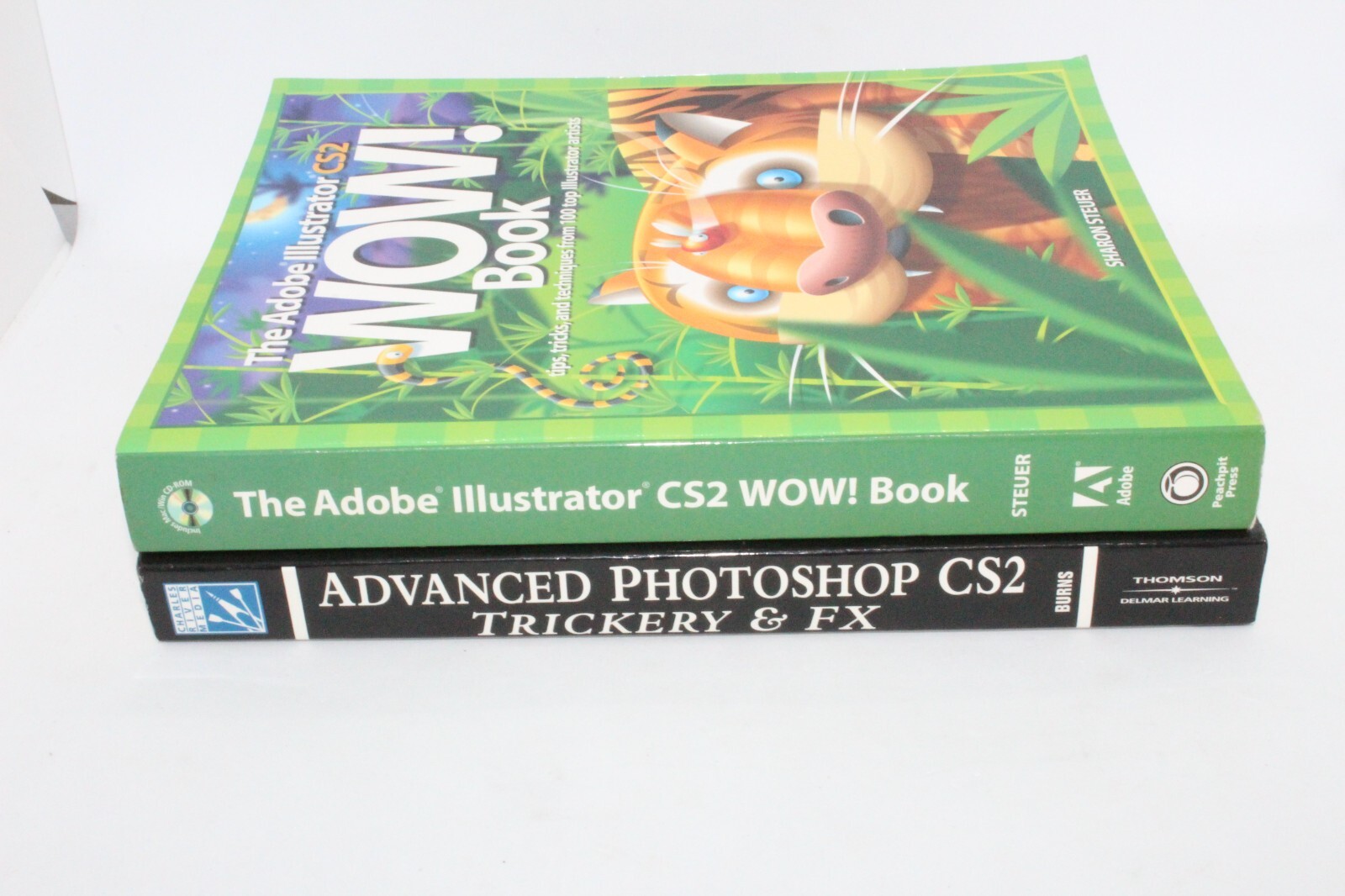 ADOBE PHOTOSHOP/ILLUSTRATOR CS2 PAPERBACK BOOKS