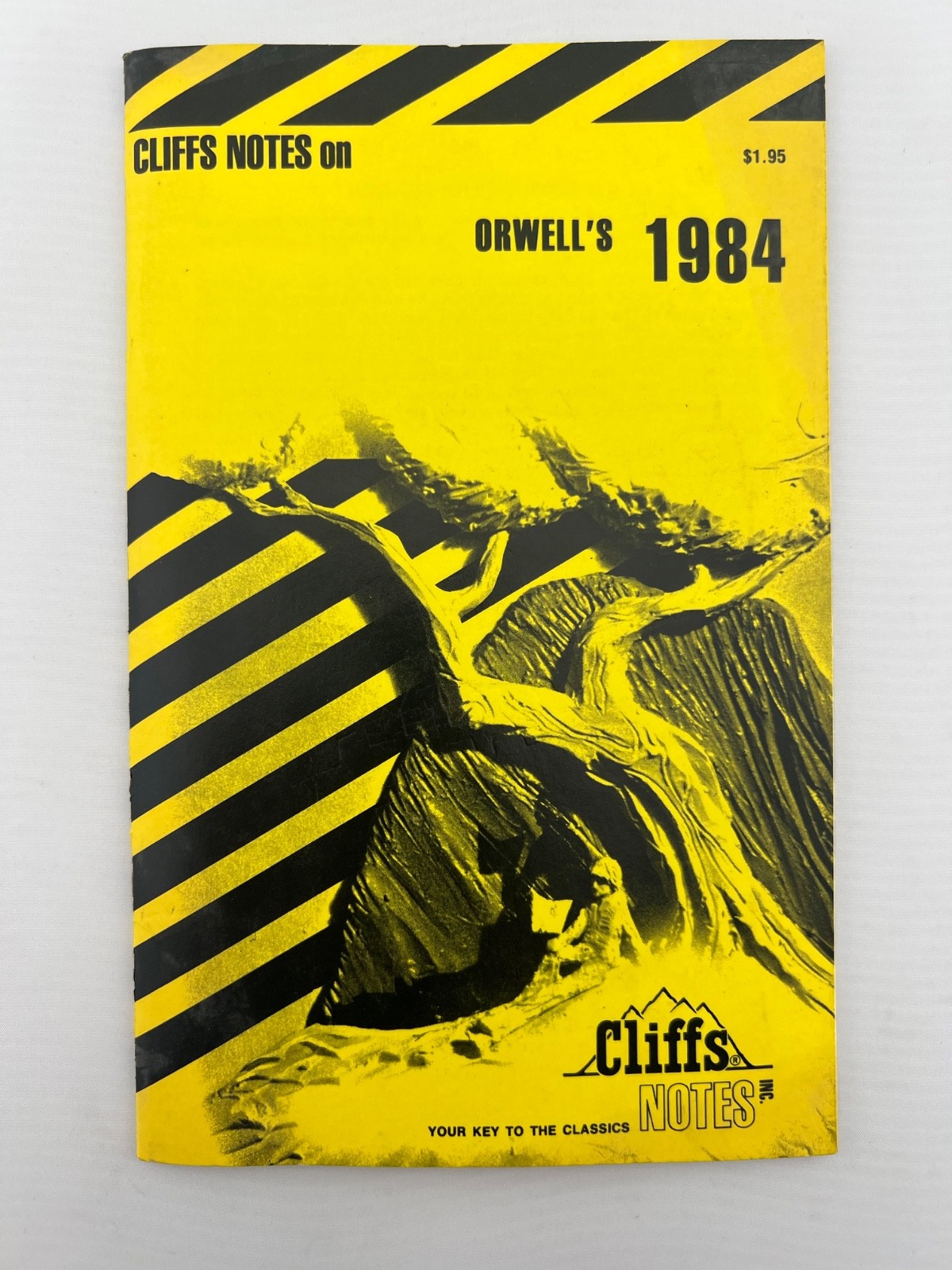 CliffsNotes on Orwell’s 1984 by Gilbert Borman
