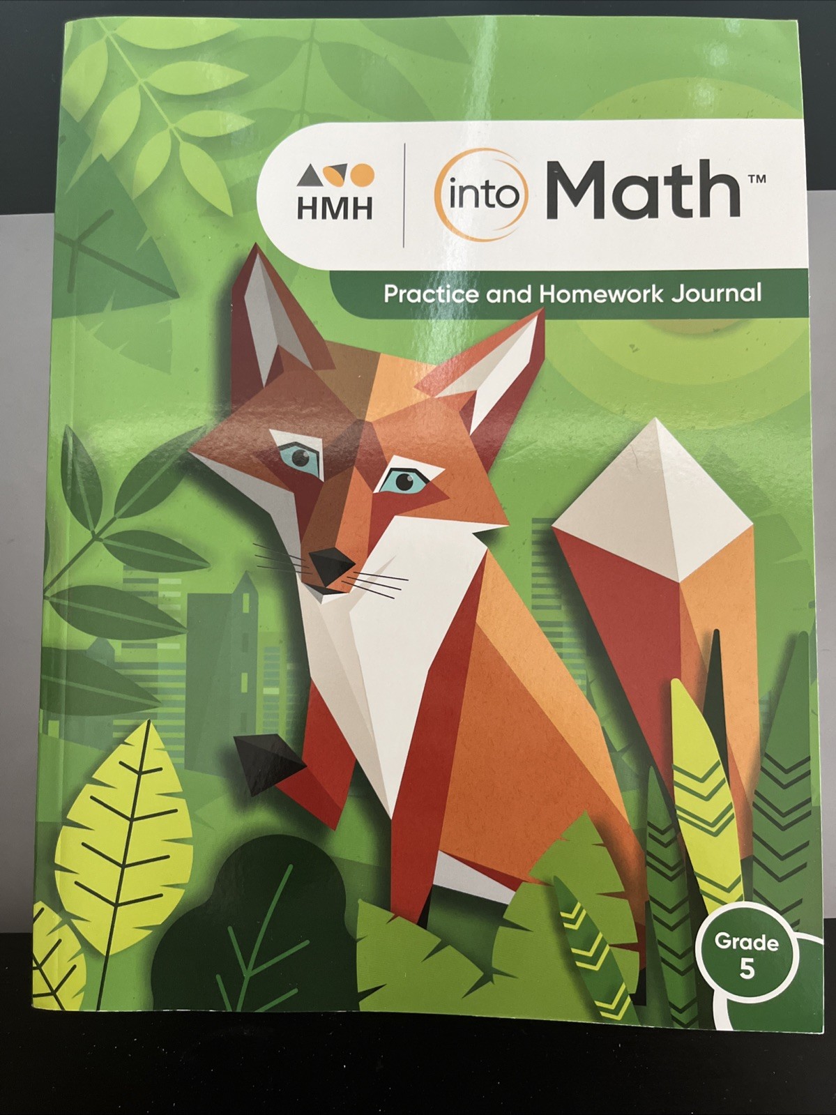 HMH Into Math Practice and Homework Journal Grade 5 by HOUGHTON