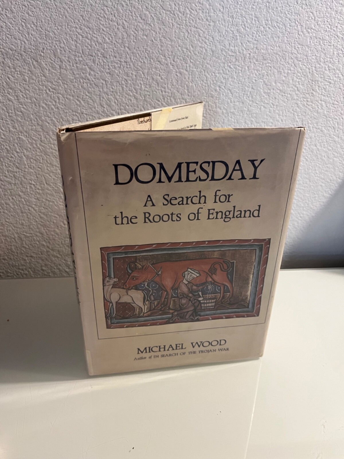 Domesday: A Search for the Roots of England by Michael Wood 1986 Ex.-Library HC