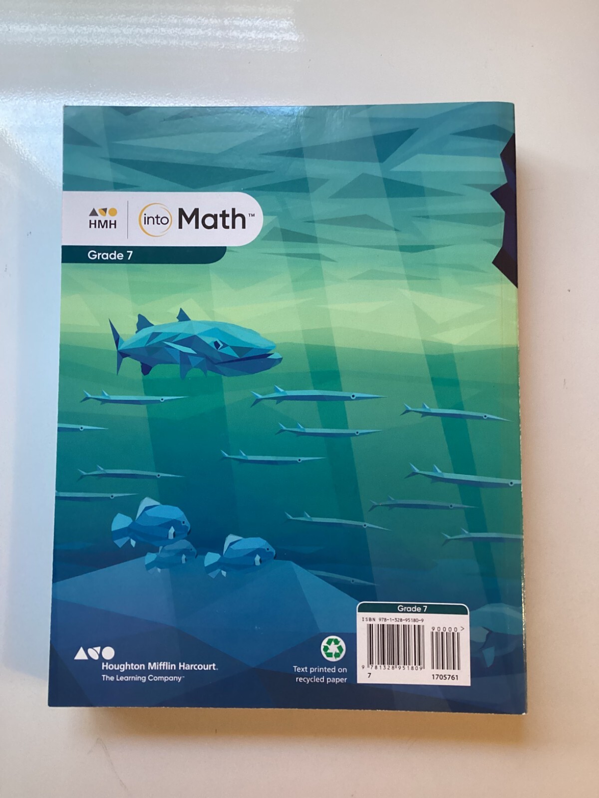 HMH into Math Grade 7 workbook (new)