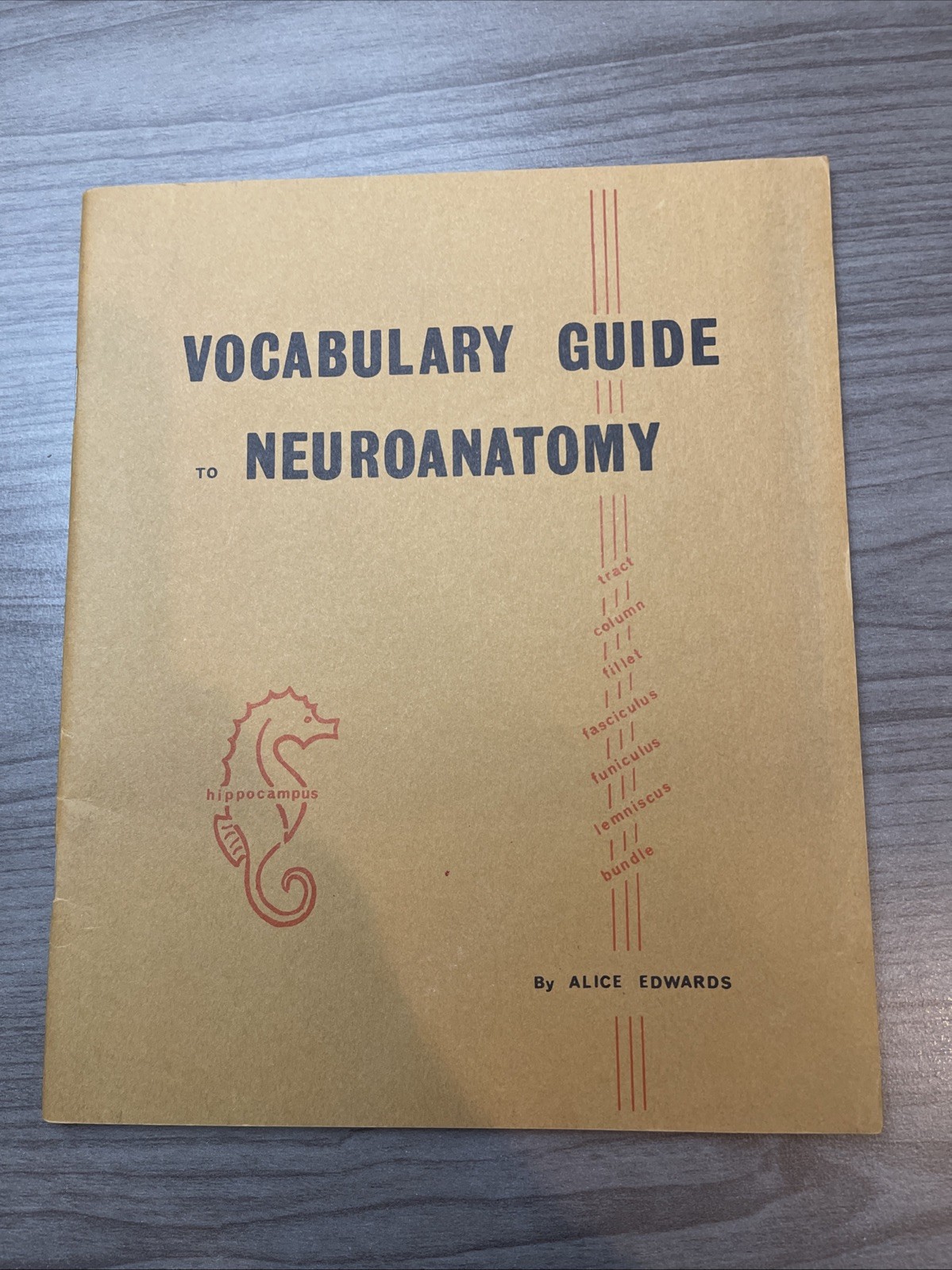 Vocabulary Guide To Neuroanotomy By Alice Edward