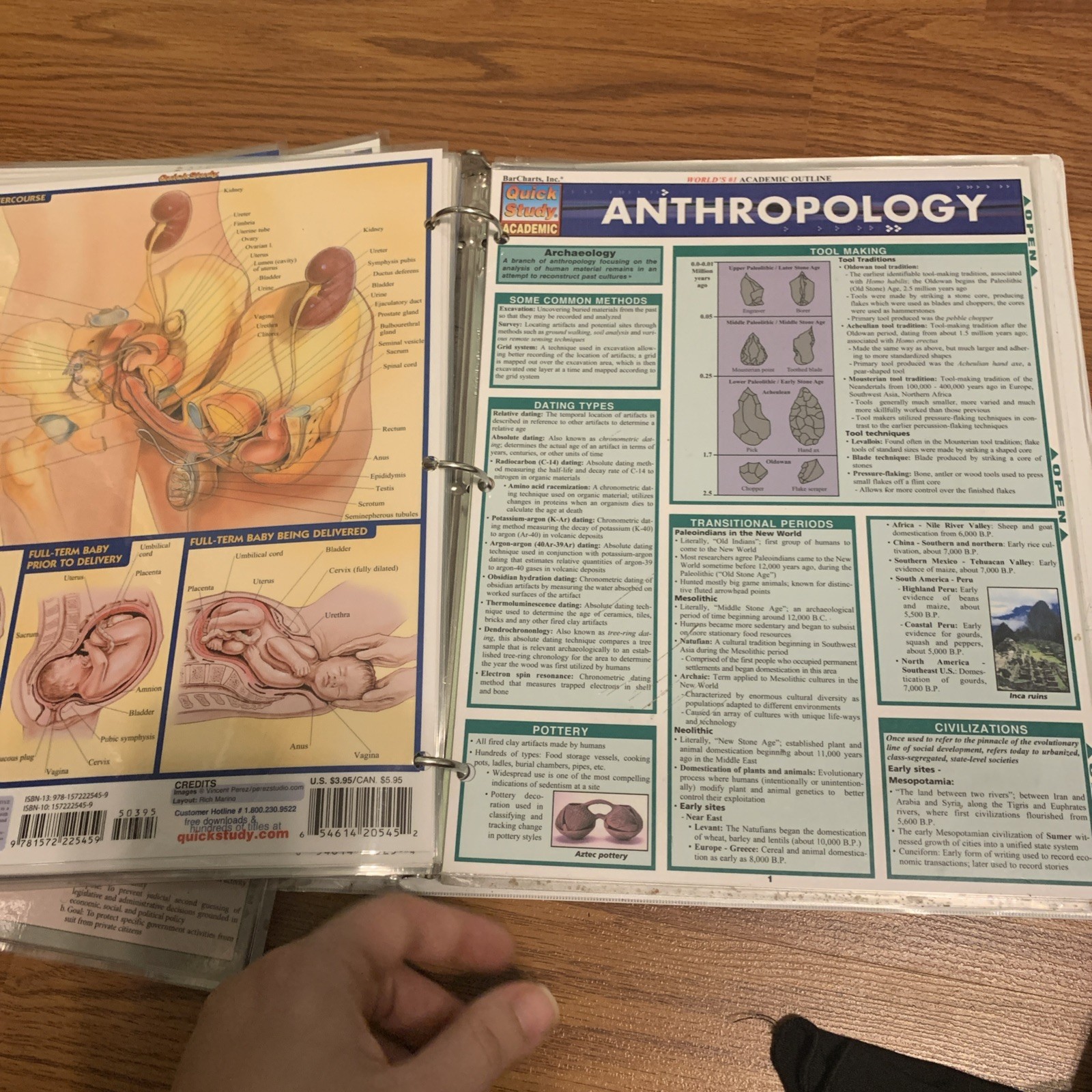Quick Study Academic Various Charts