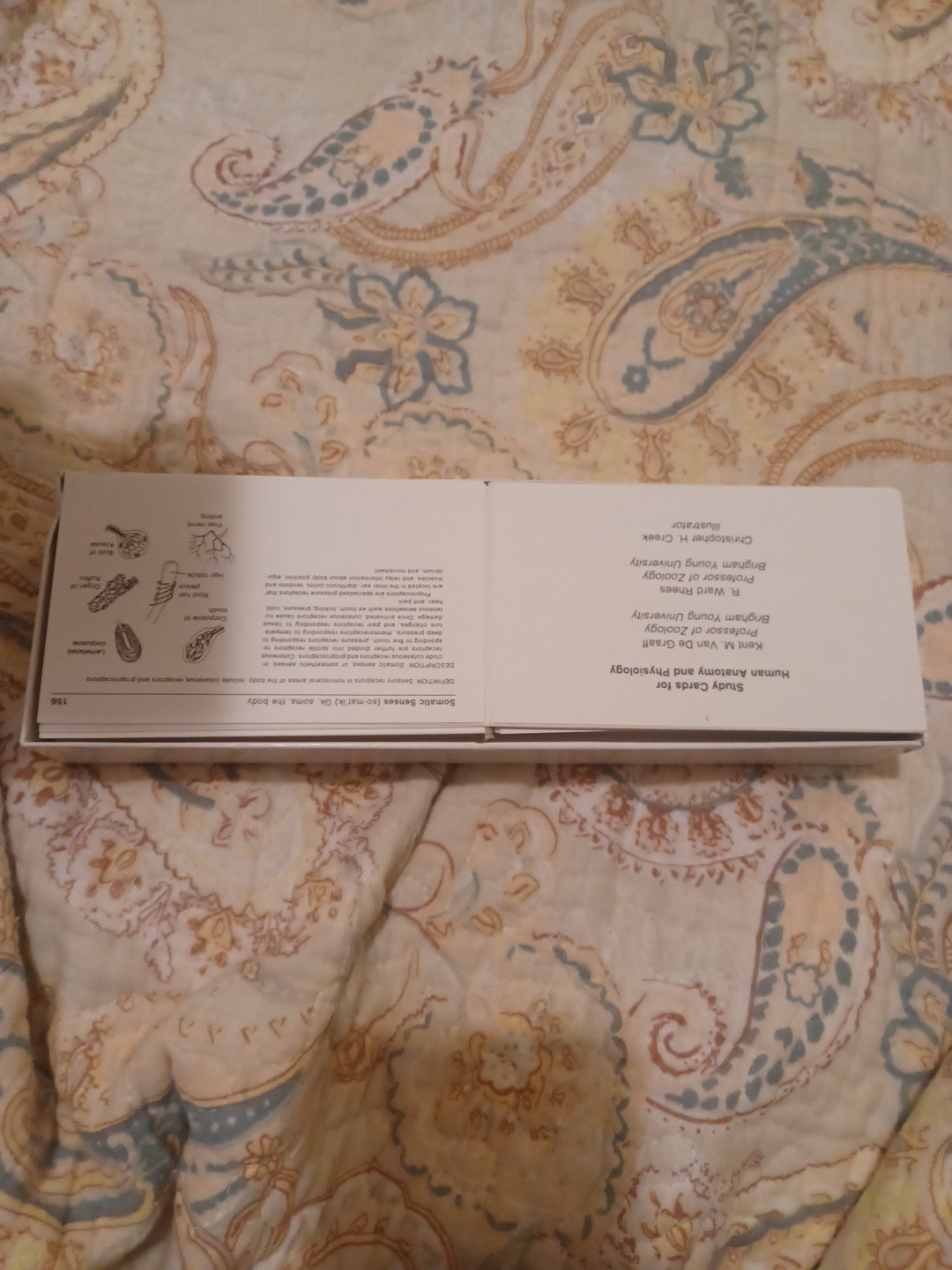 Human Anatomy & Physiology Study Cards