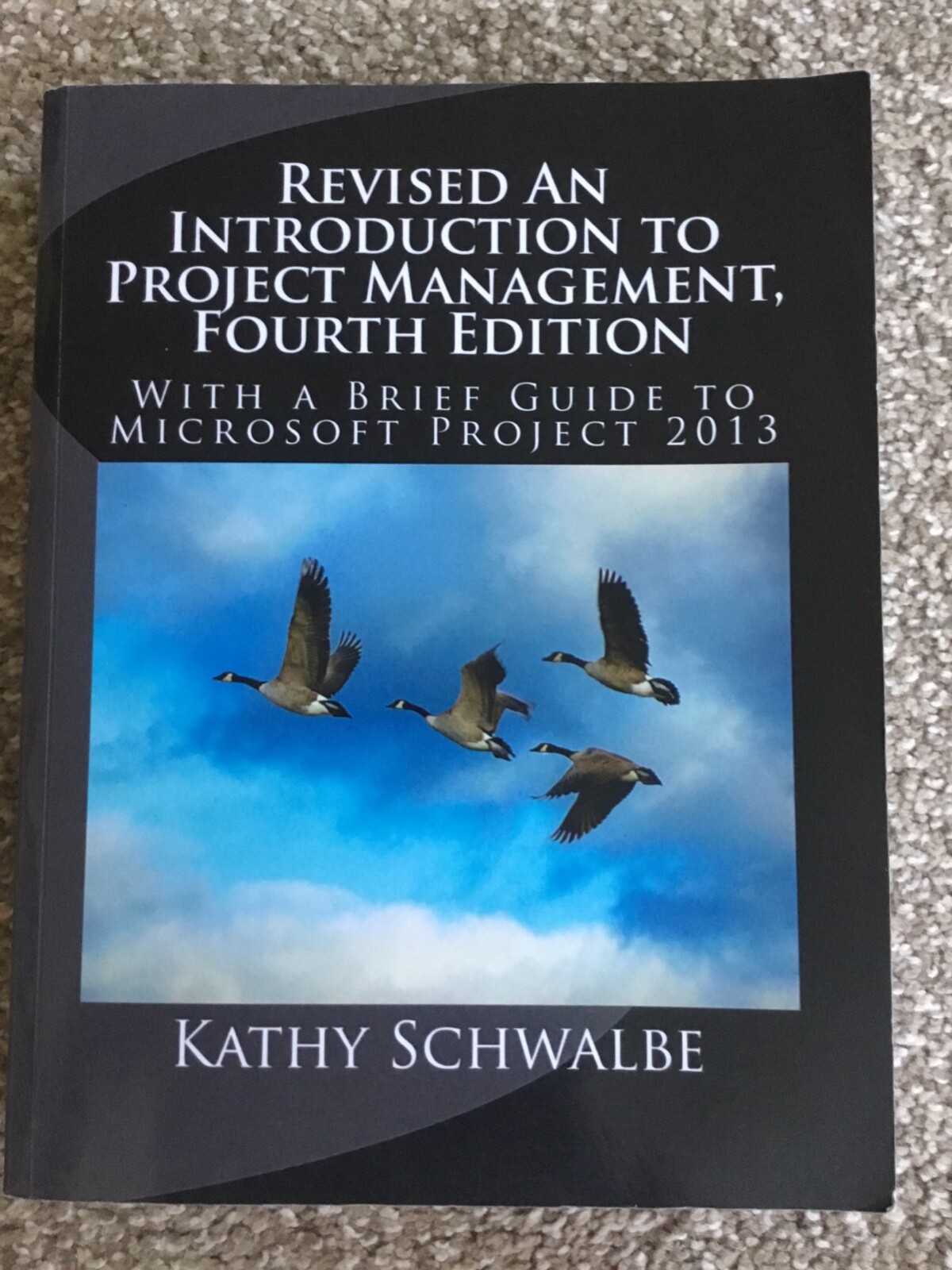 Revised: An Introduction to Project Management